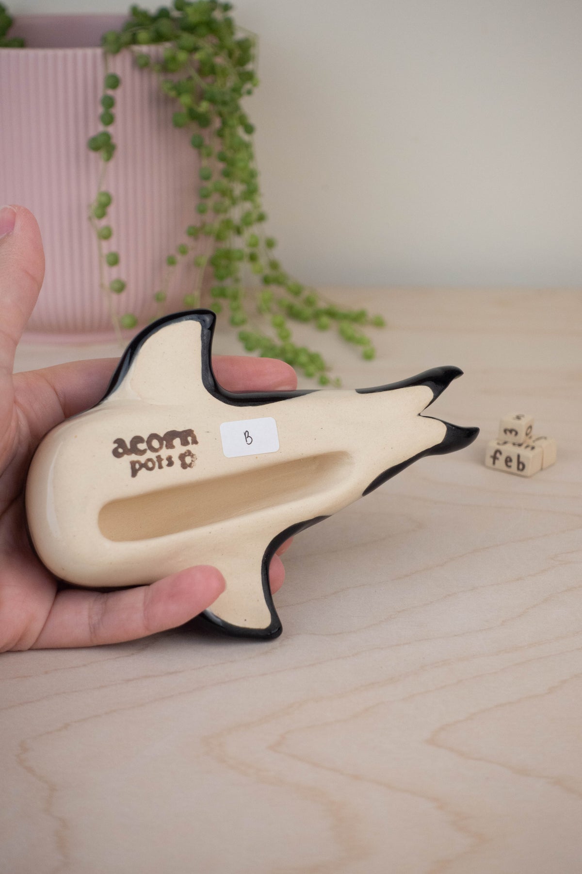 Orca Whale Calendar B