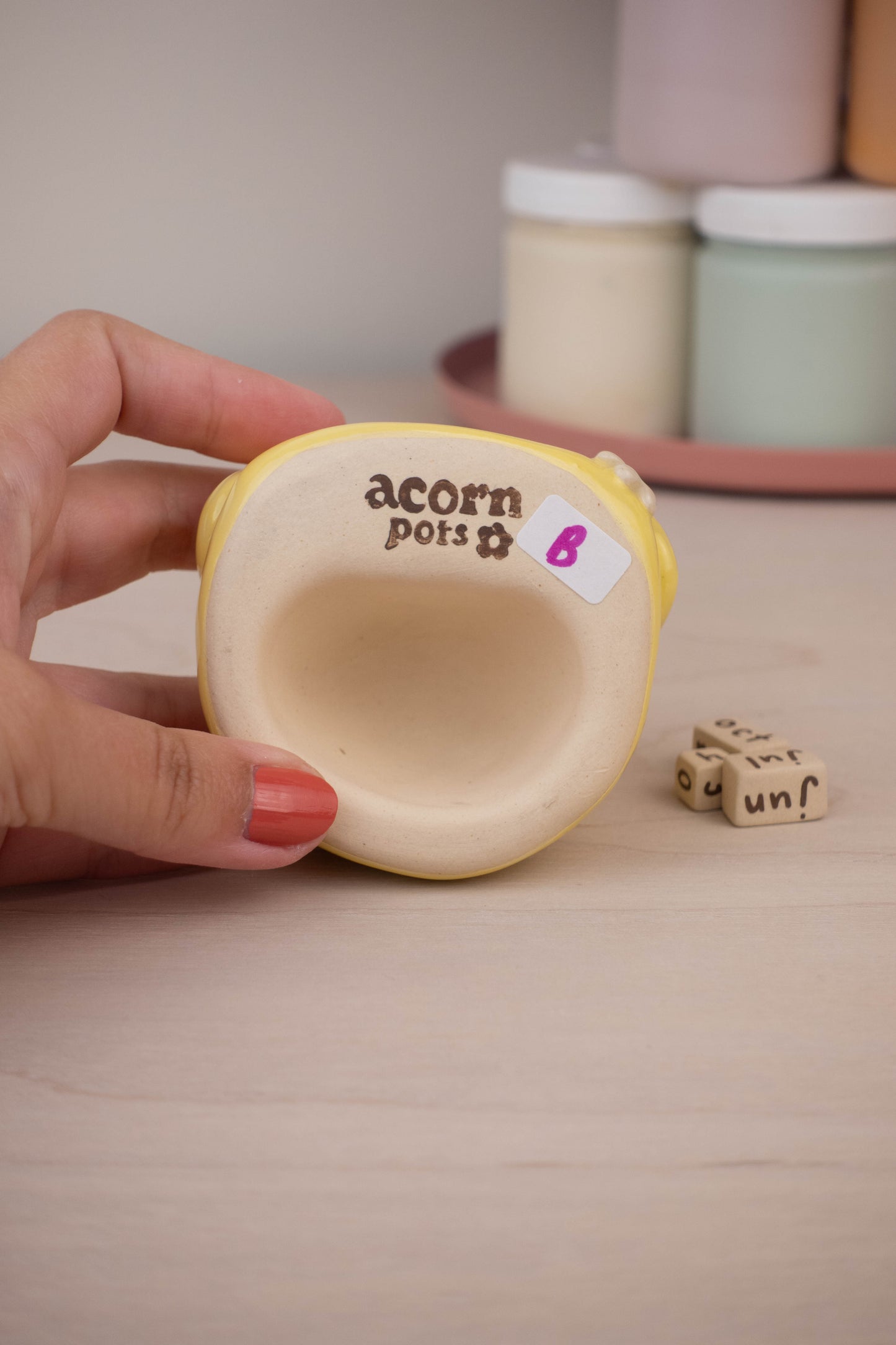 Duck Calendar B