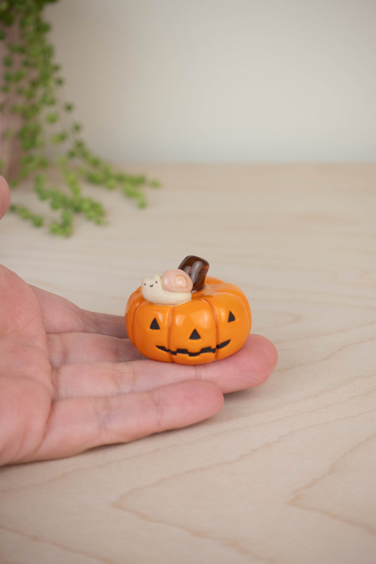 Mini Snail on a Pumpkin