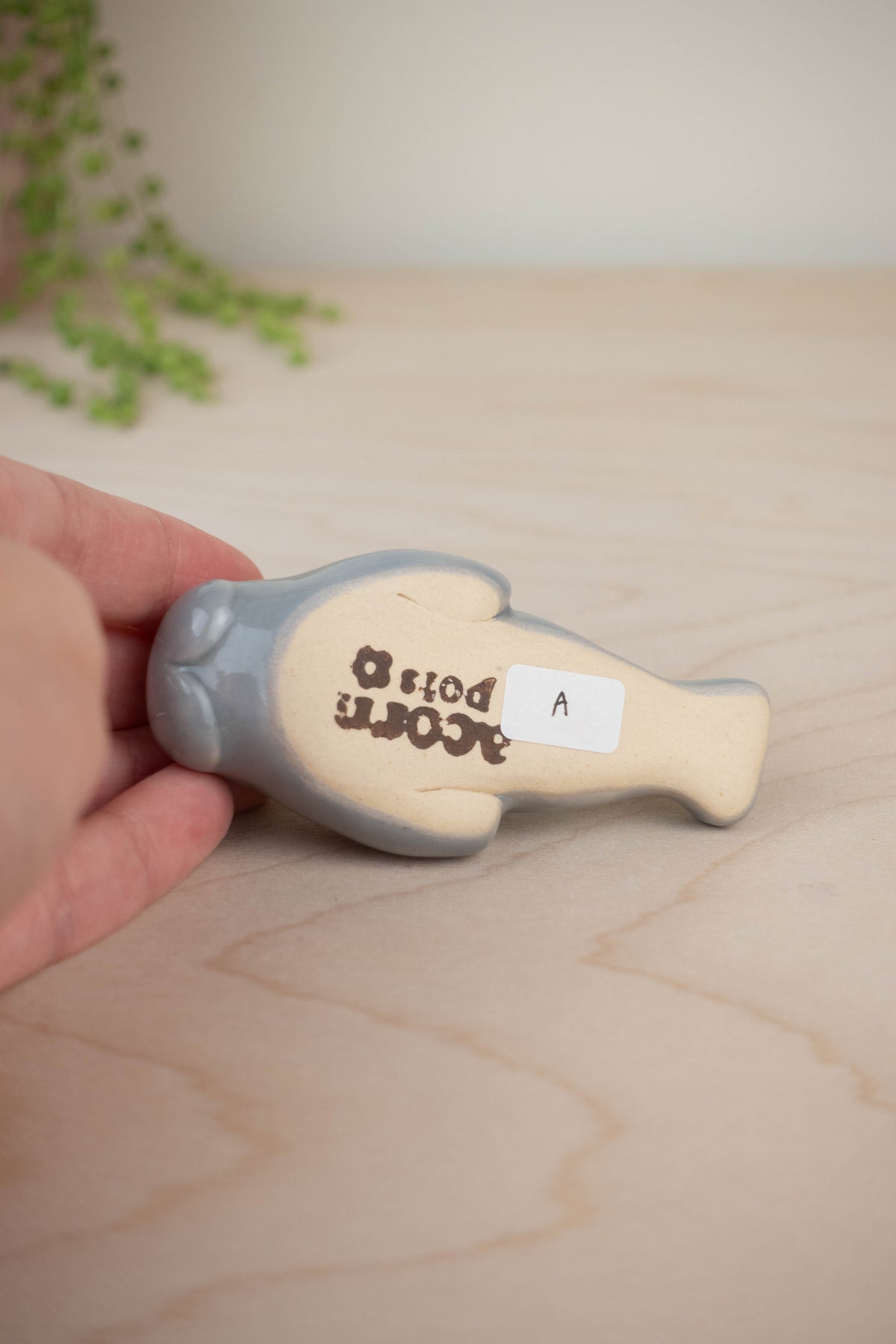 Mini Manatee