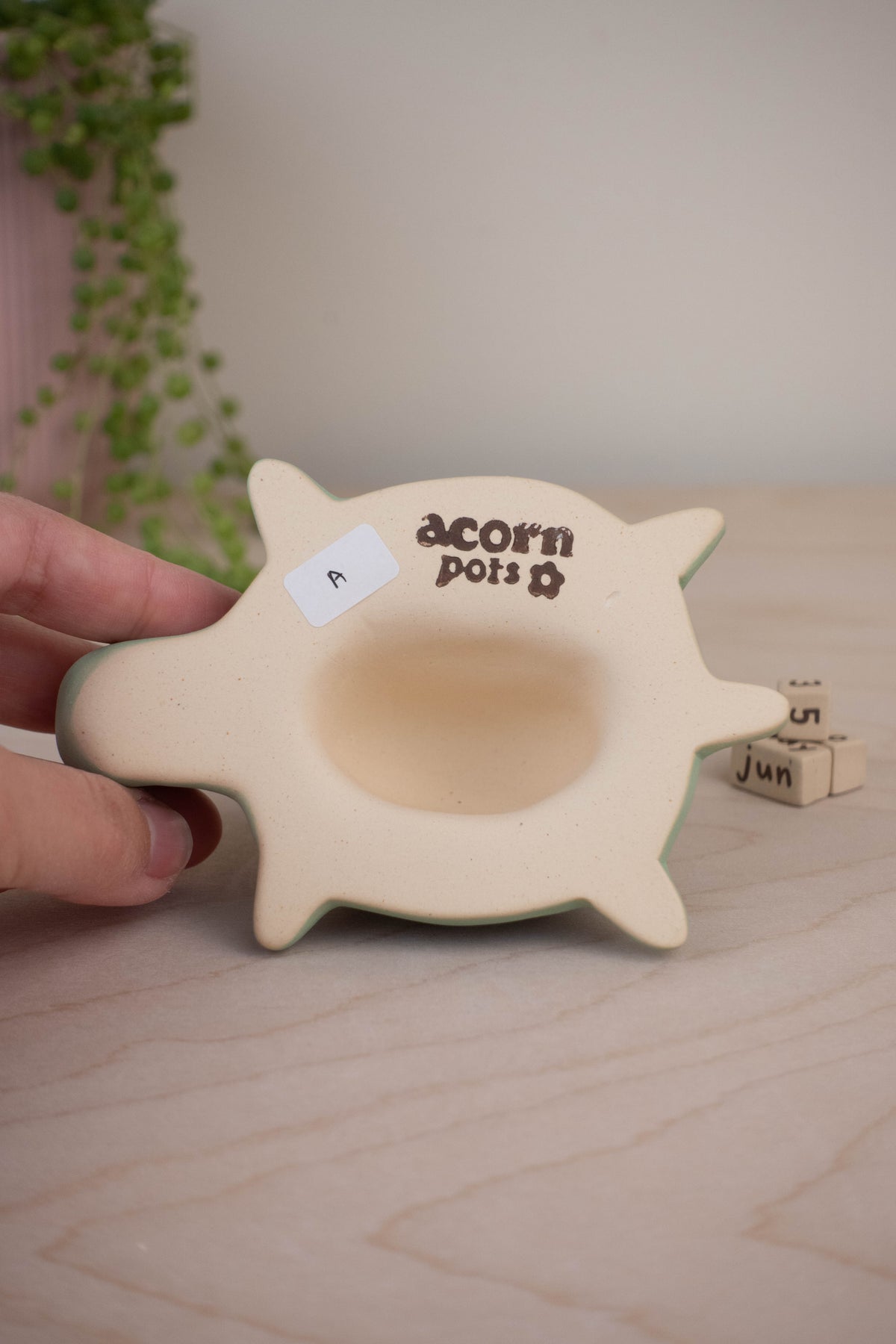 Turtle Calendar A