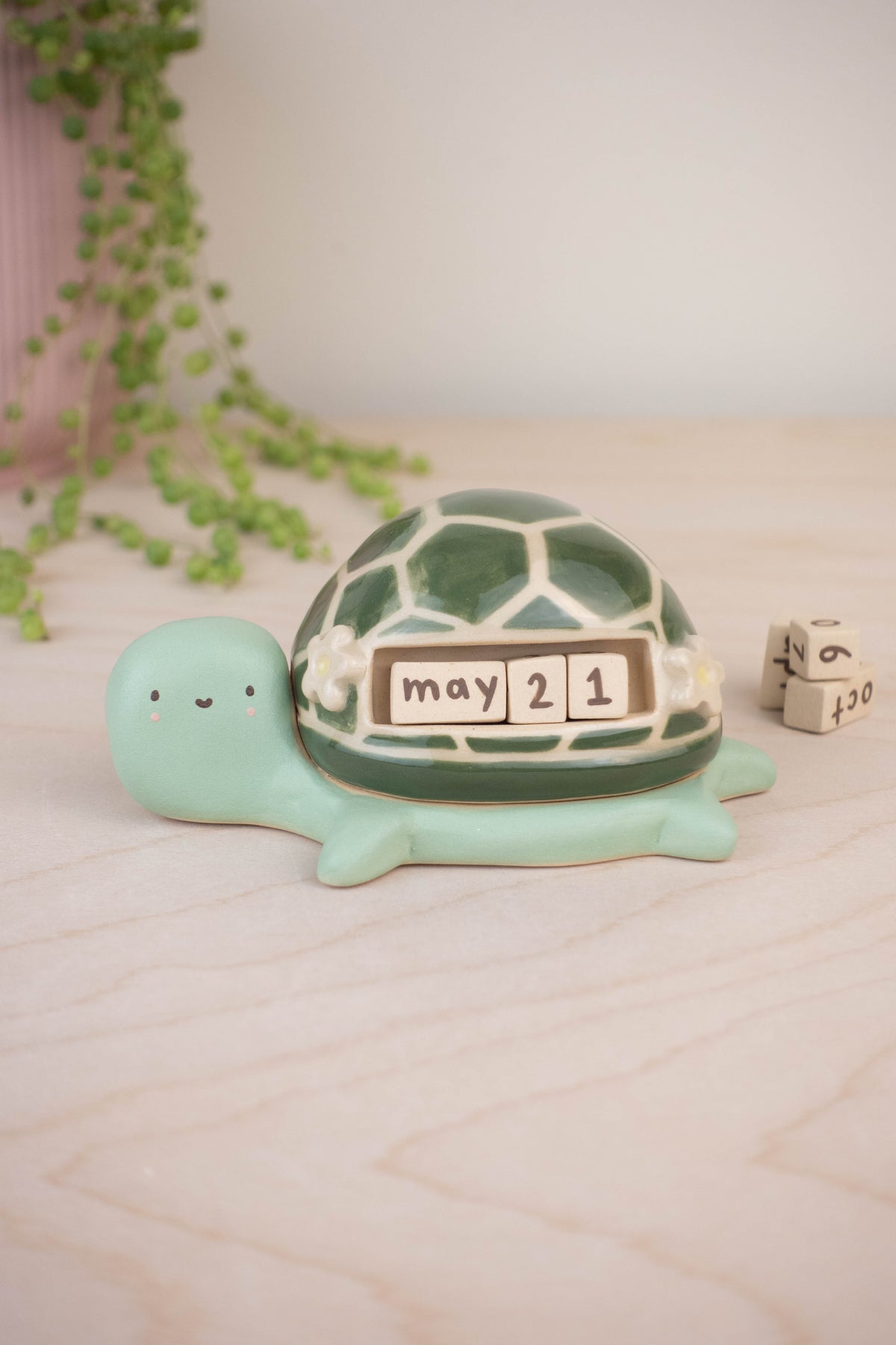 Turtle Calendar B