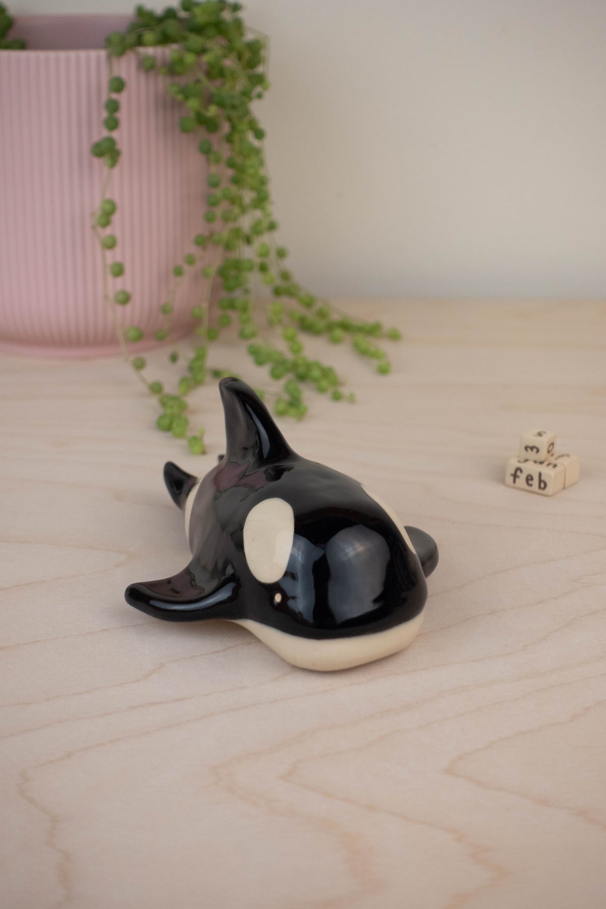 Orca Whale Calendar B