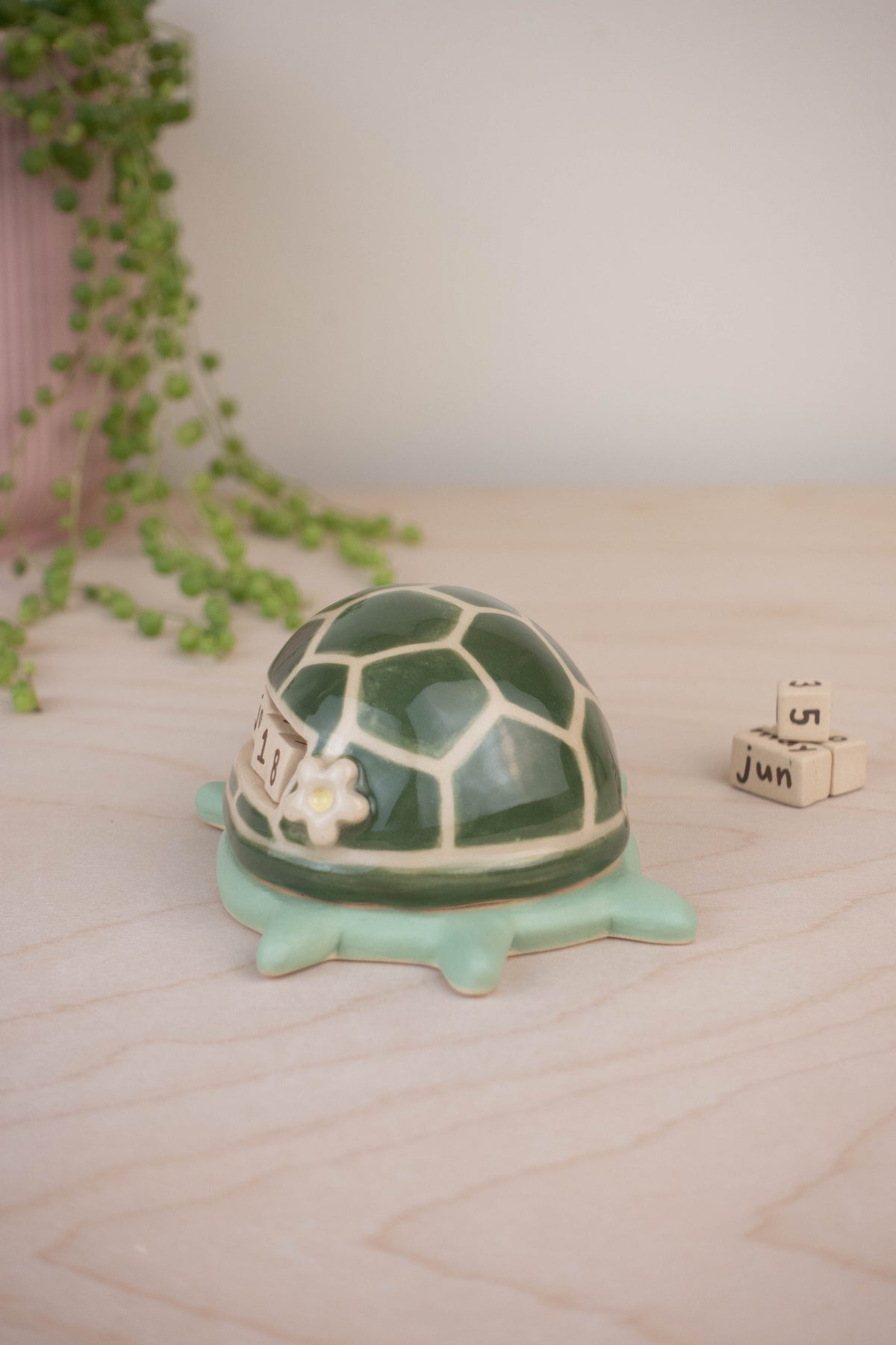 Turtle Calendar A