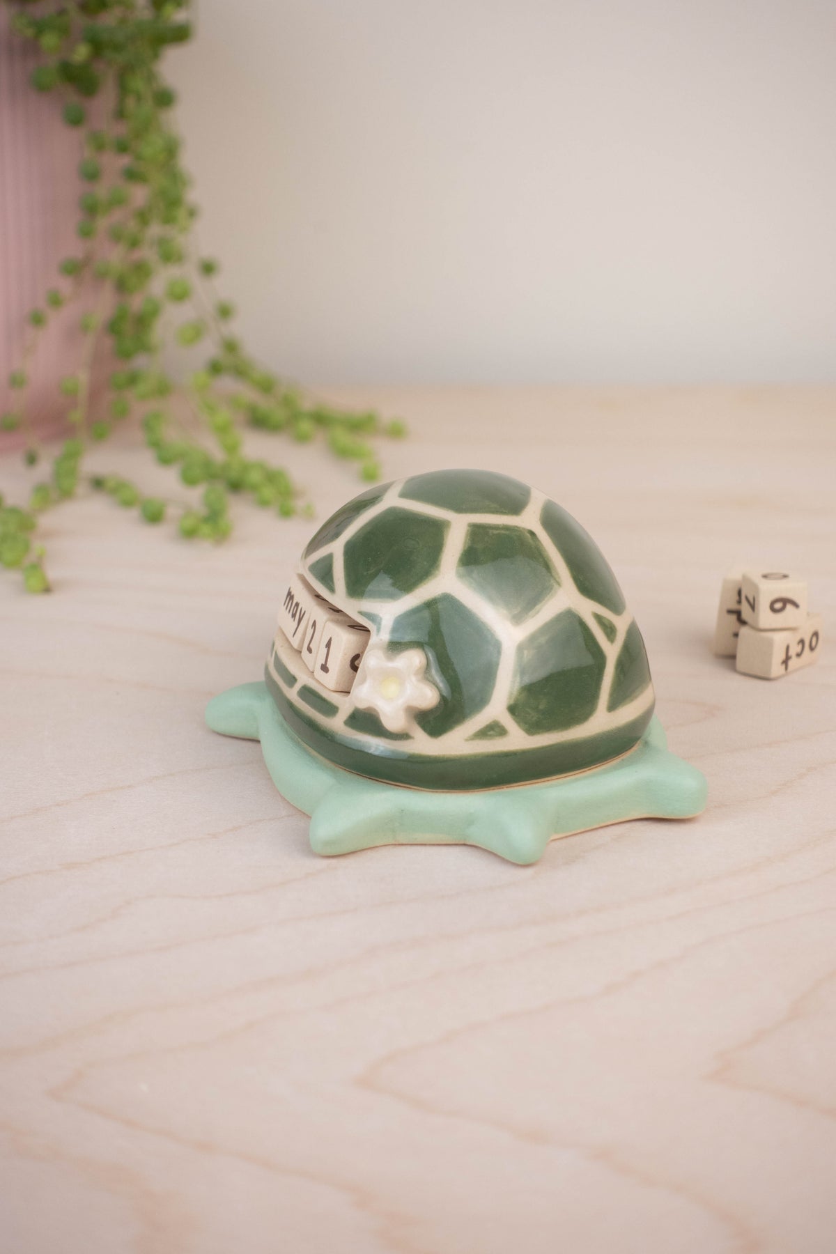 Turtle Calendar B