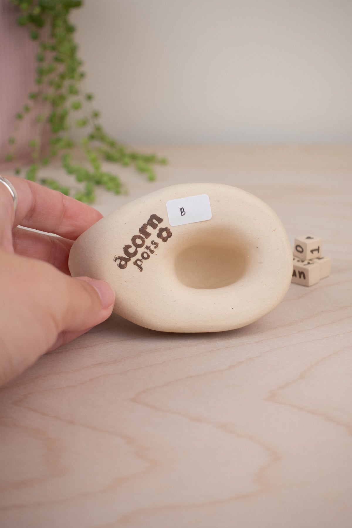 Snail Calendar B