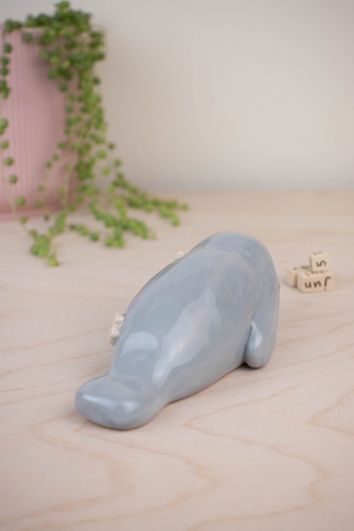 SECOND Manatee Calendar B