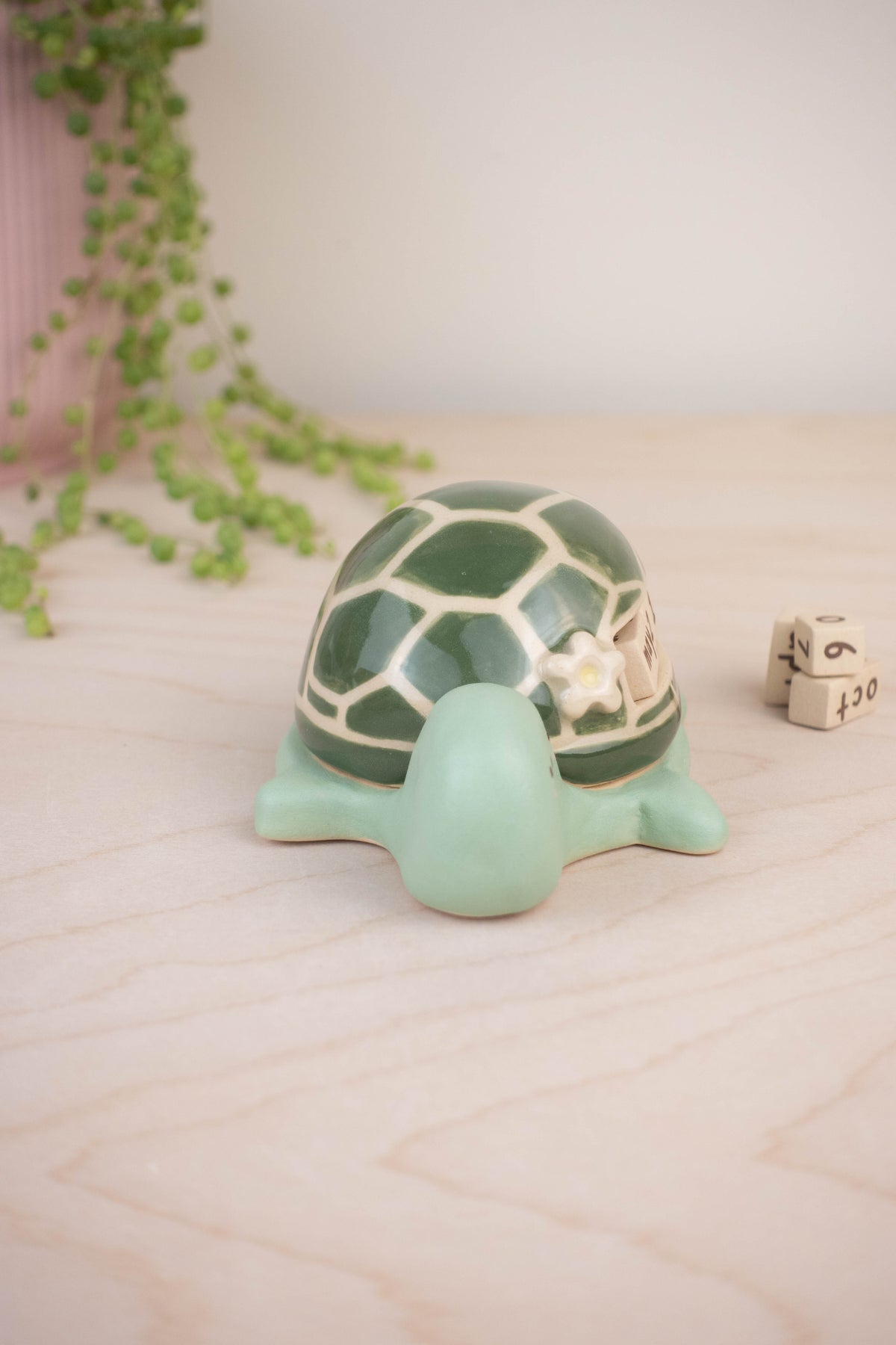 Turtle Calendar B