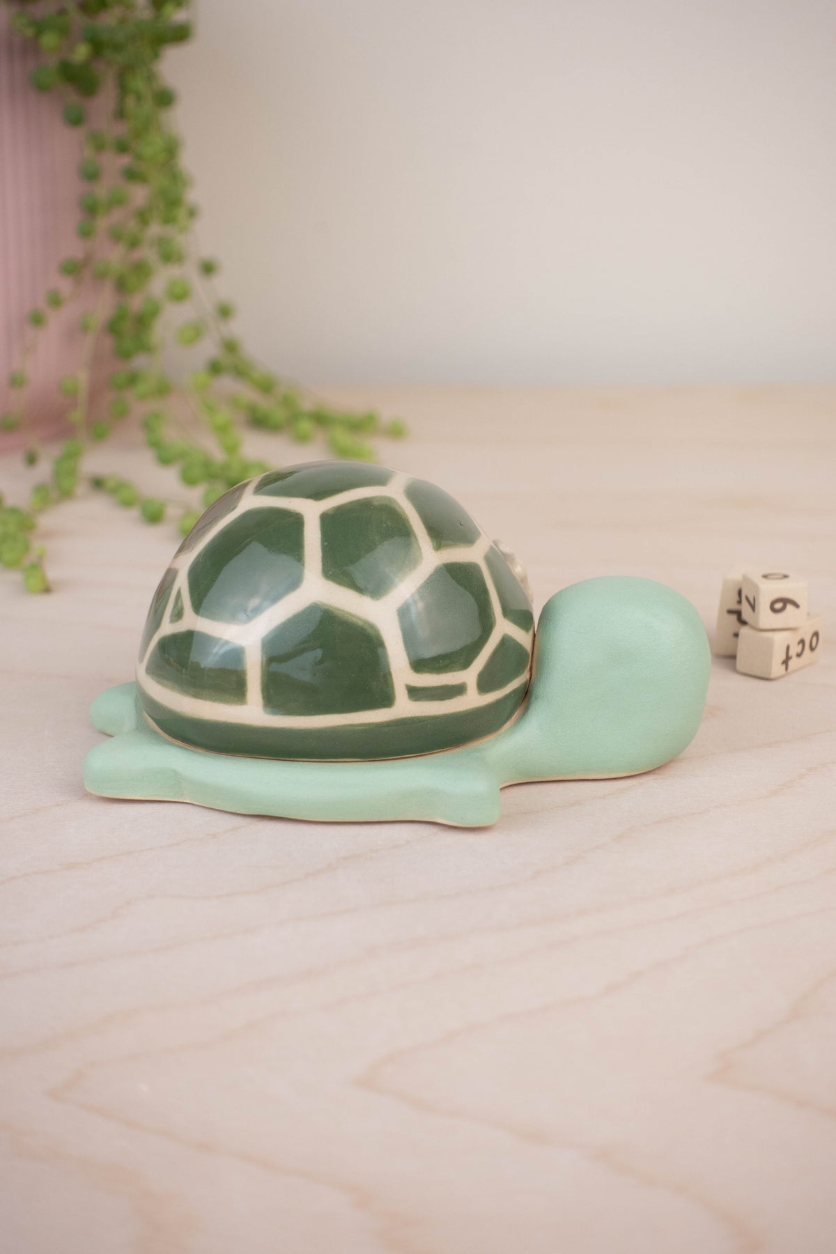Turtle Calendar B
