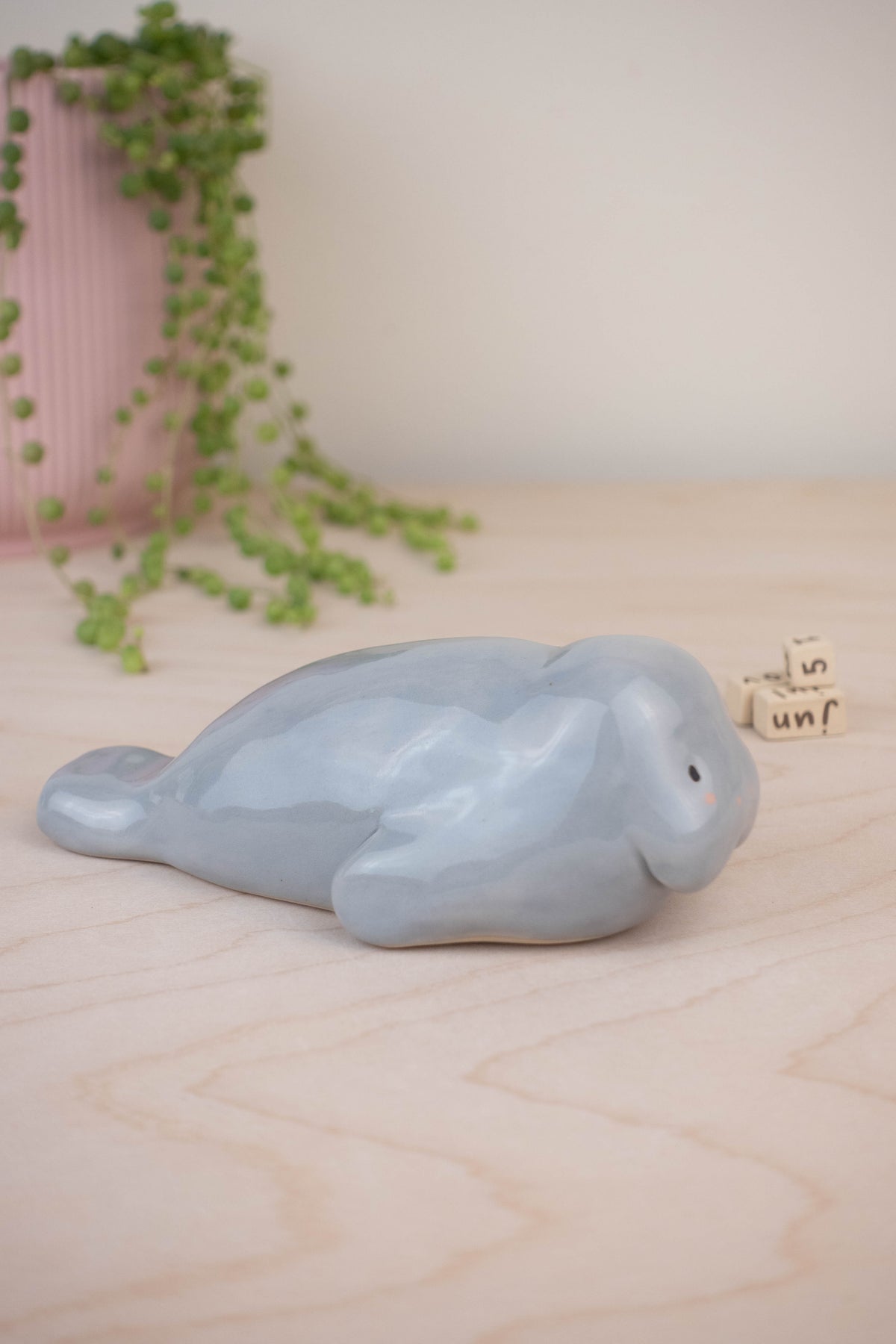 SECOND Manatee Calendar B