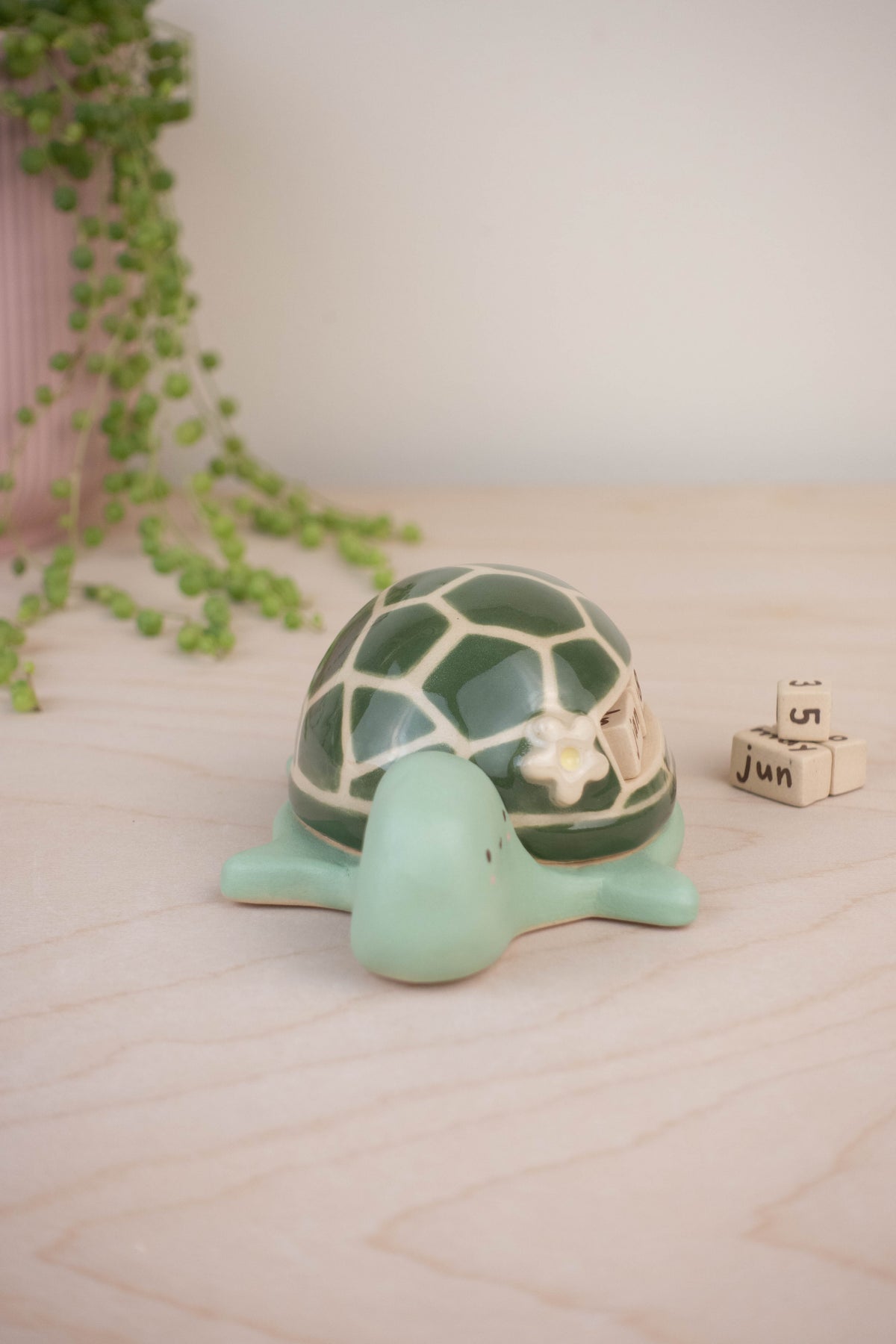 Turtle Calendar A