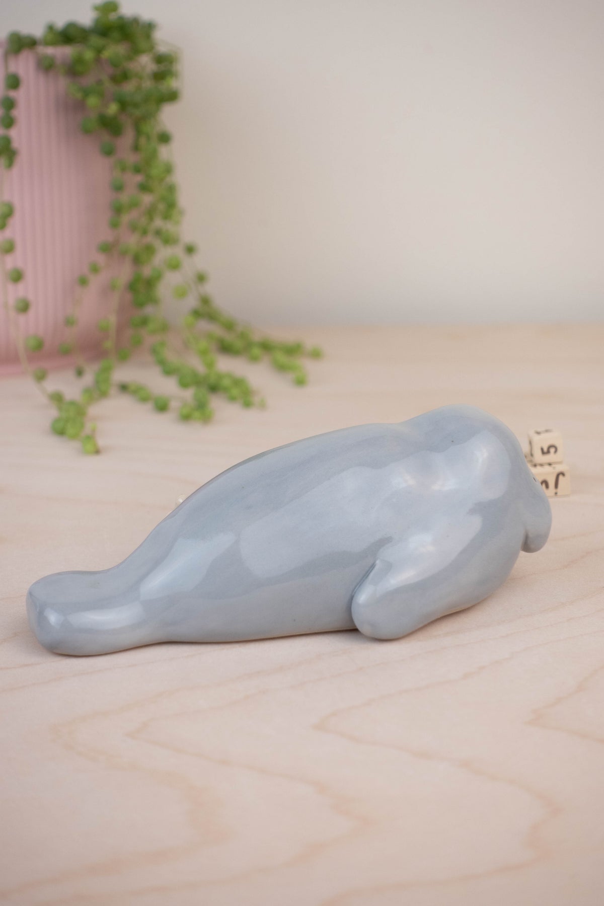 SECOND Manatee Calendar B