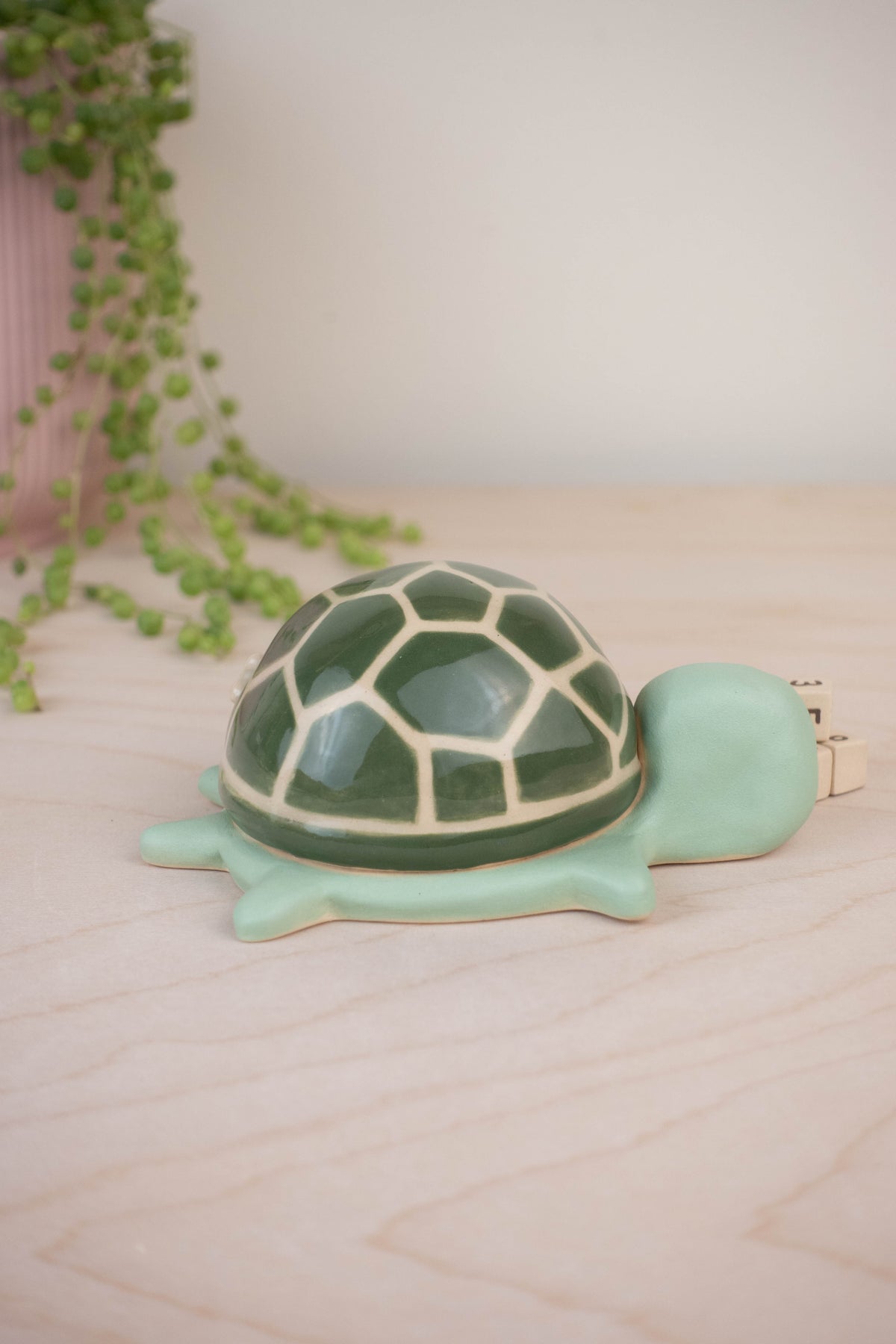 Turtle Calendar A