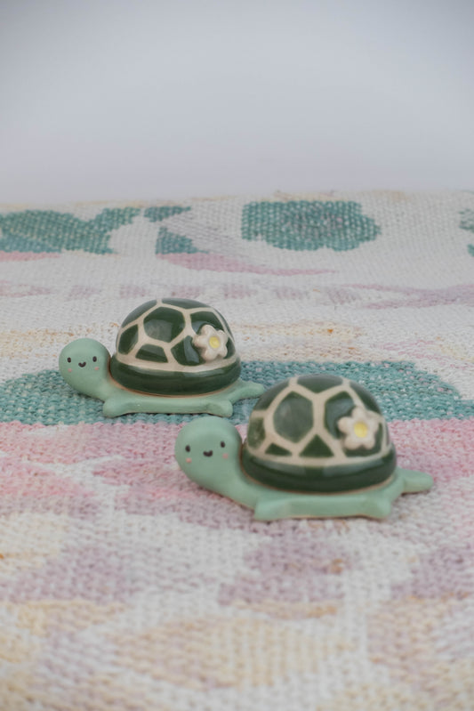 Mini Turtle