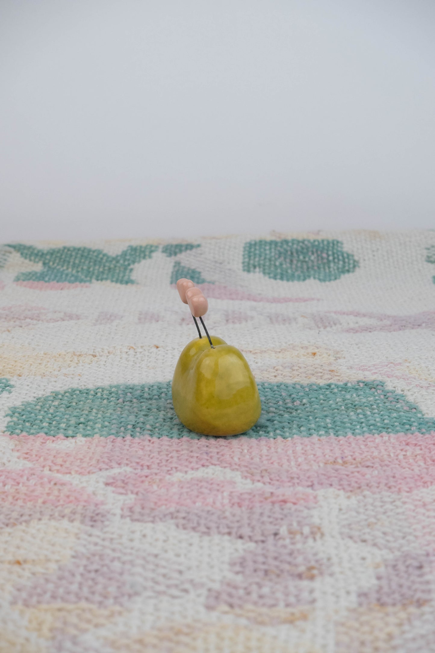 Lovebug Frog Yellow-Green