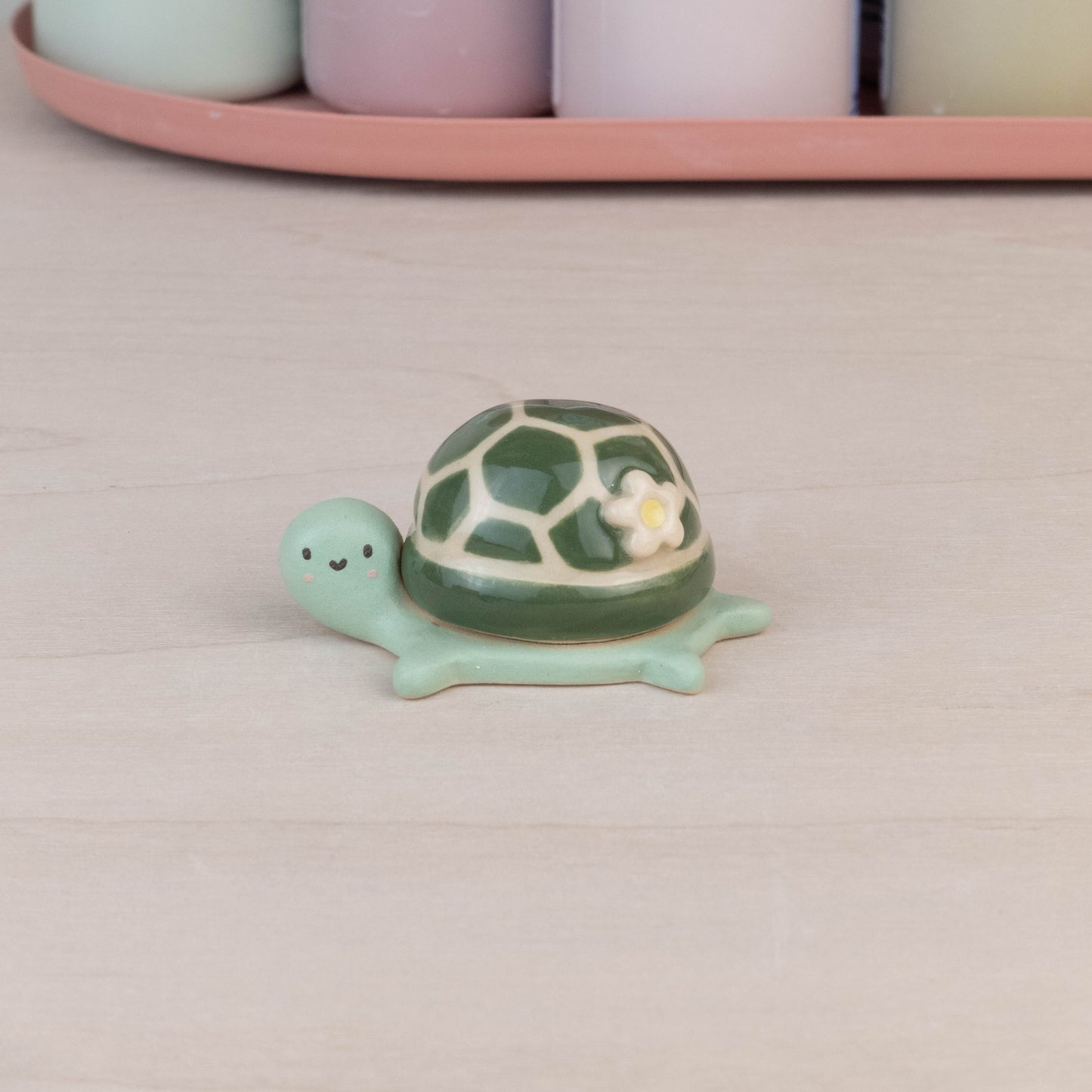 Mini Turtle
