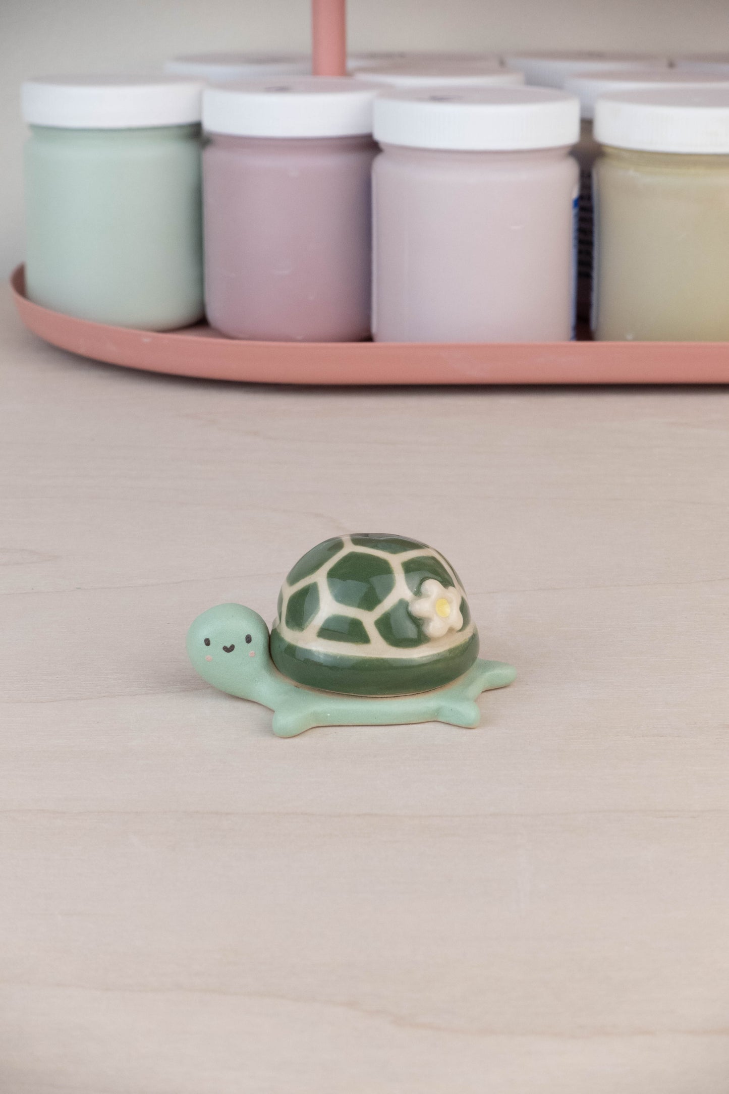 Mini Turtle
