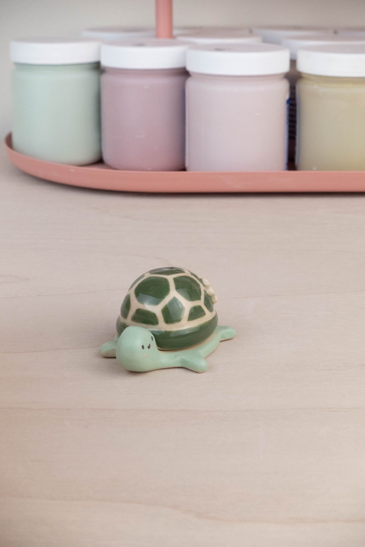 Mini Turtle