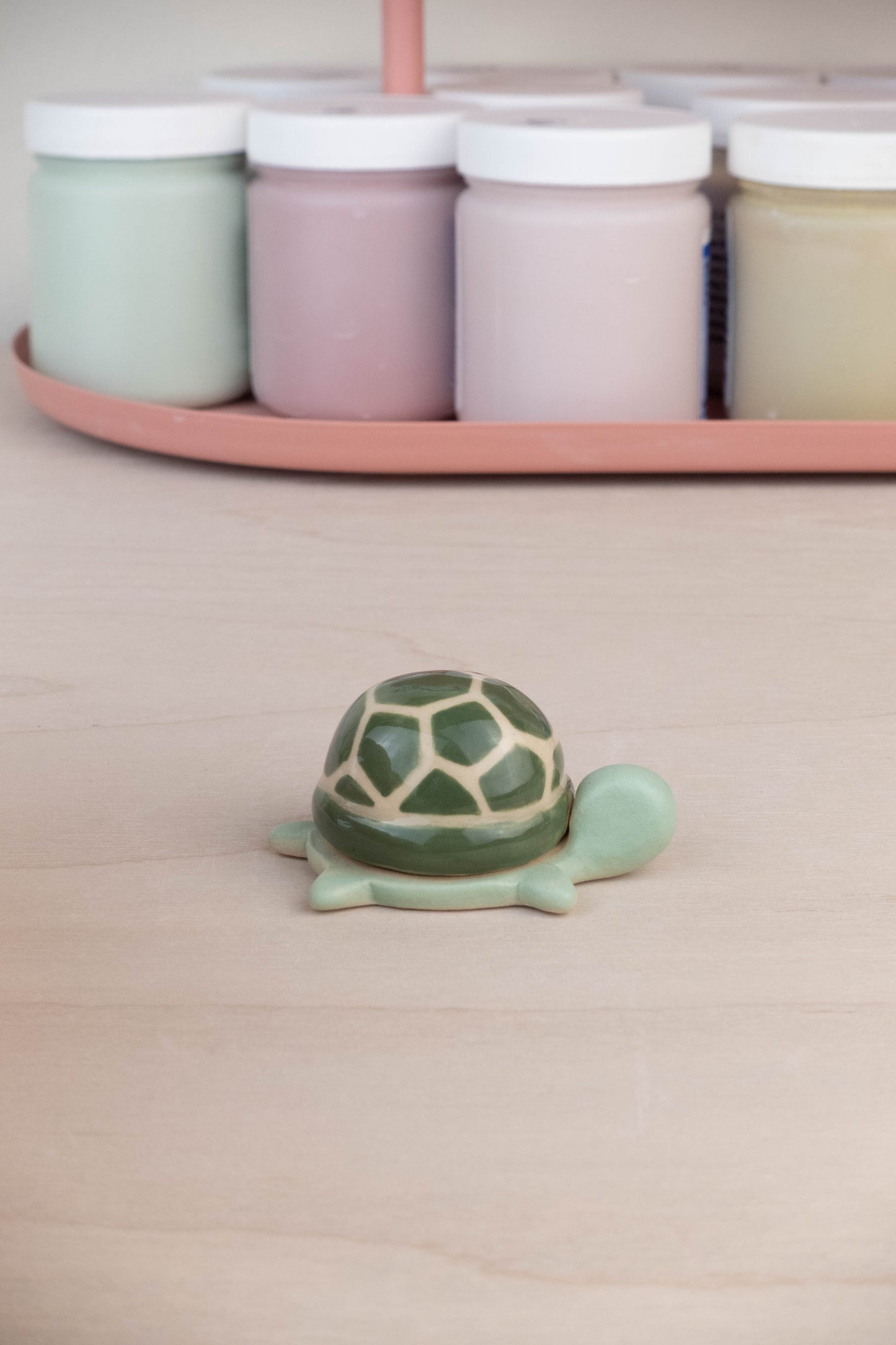 Mini Turtle