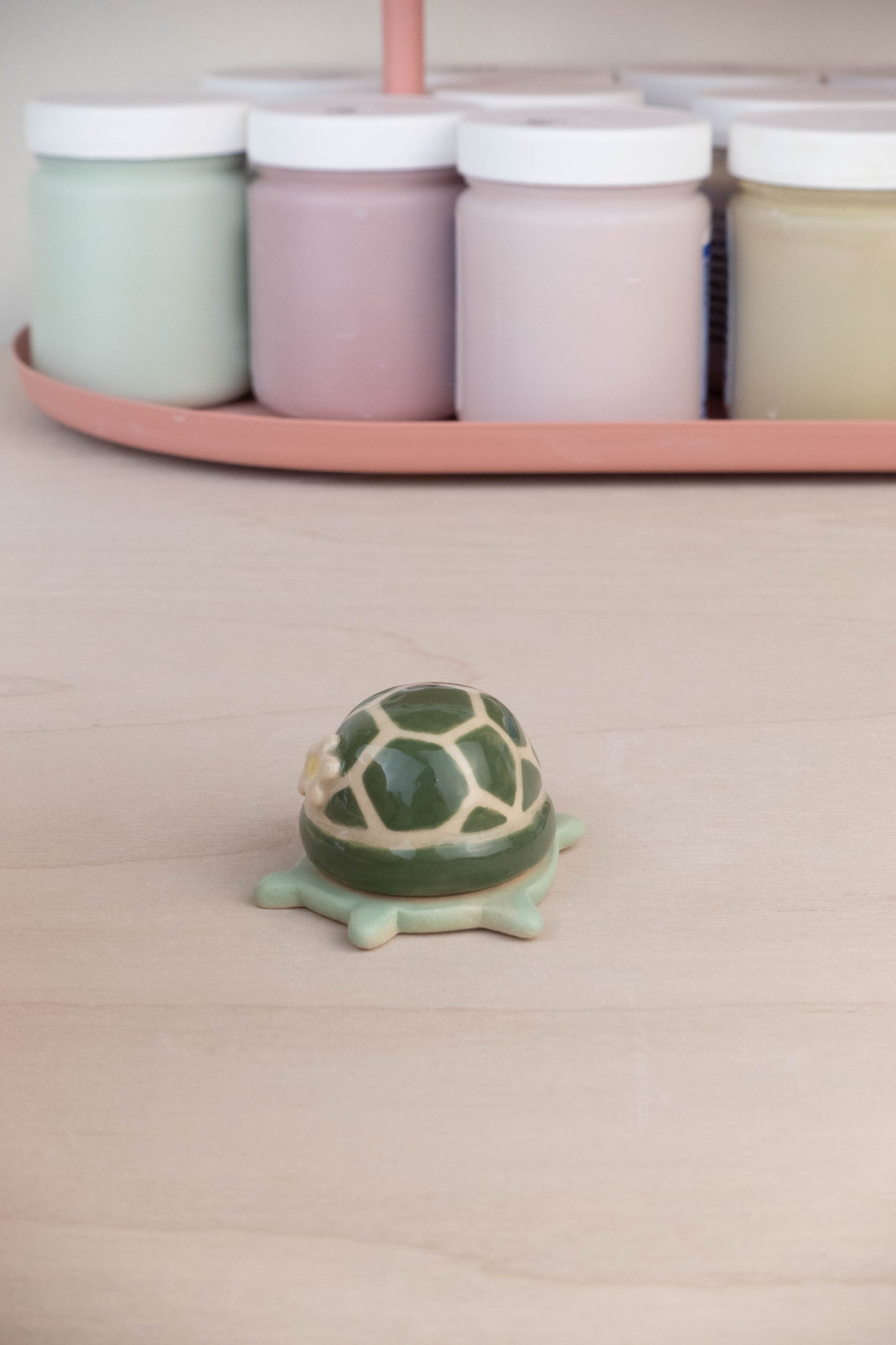 Mini Turtle