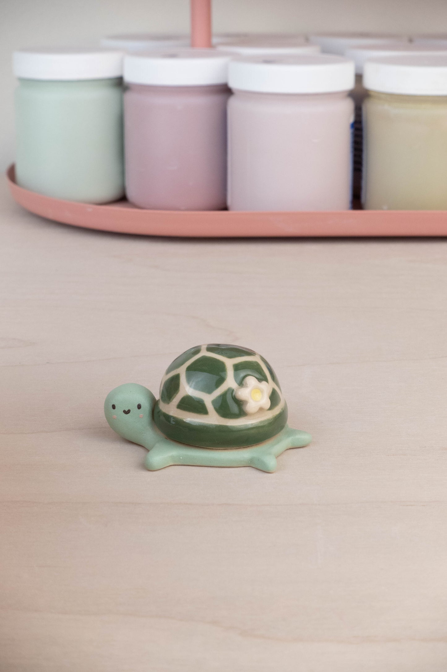 Mini Turtle