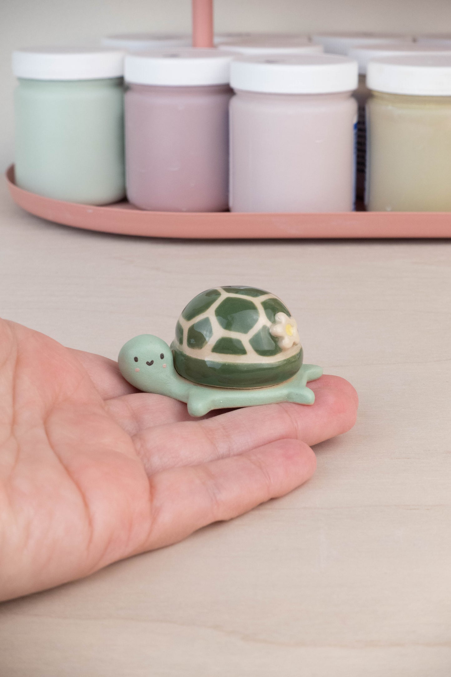 Mini Turtle