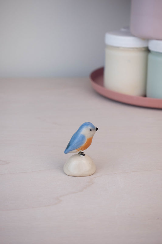 Bird Model: Bluebird