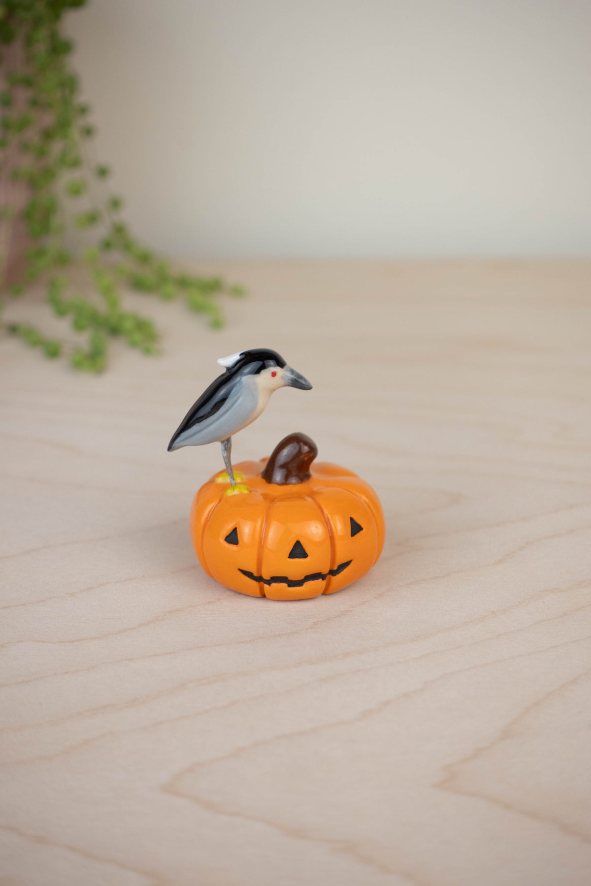 Bird Model: Black-Crowned Night Heron on a Pumpkin