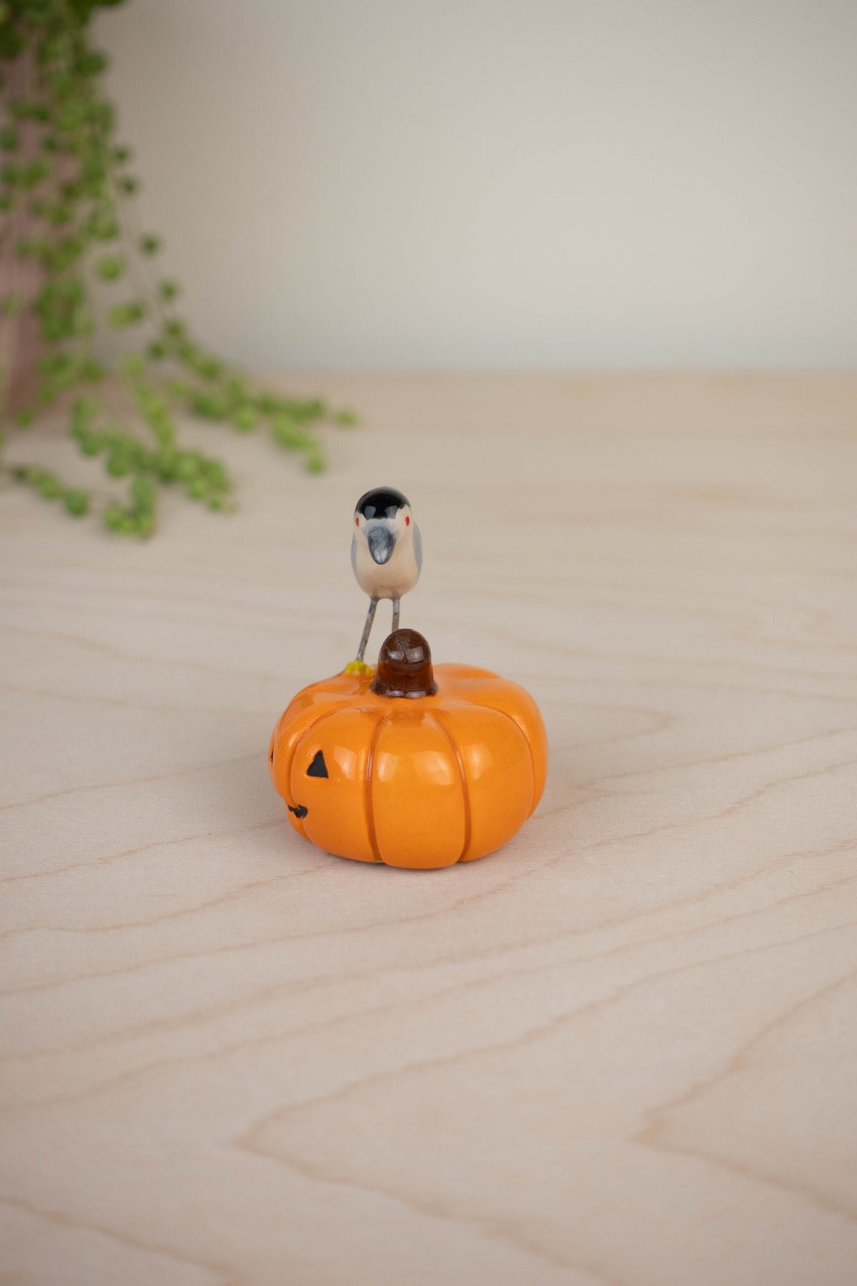 Bird Model: Black-Crowned Night Heron on a Pumpkin