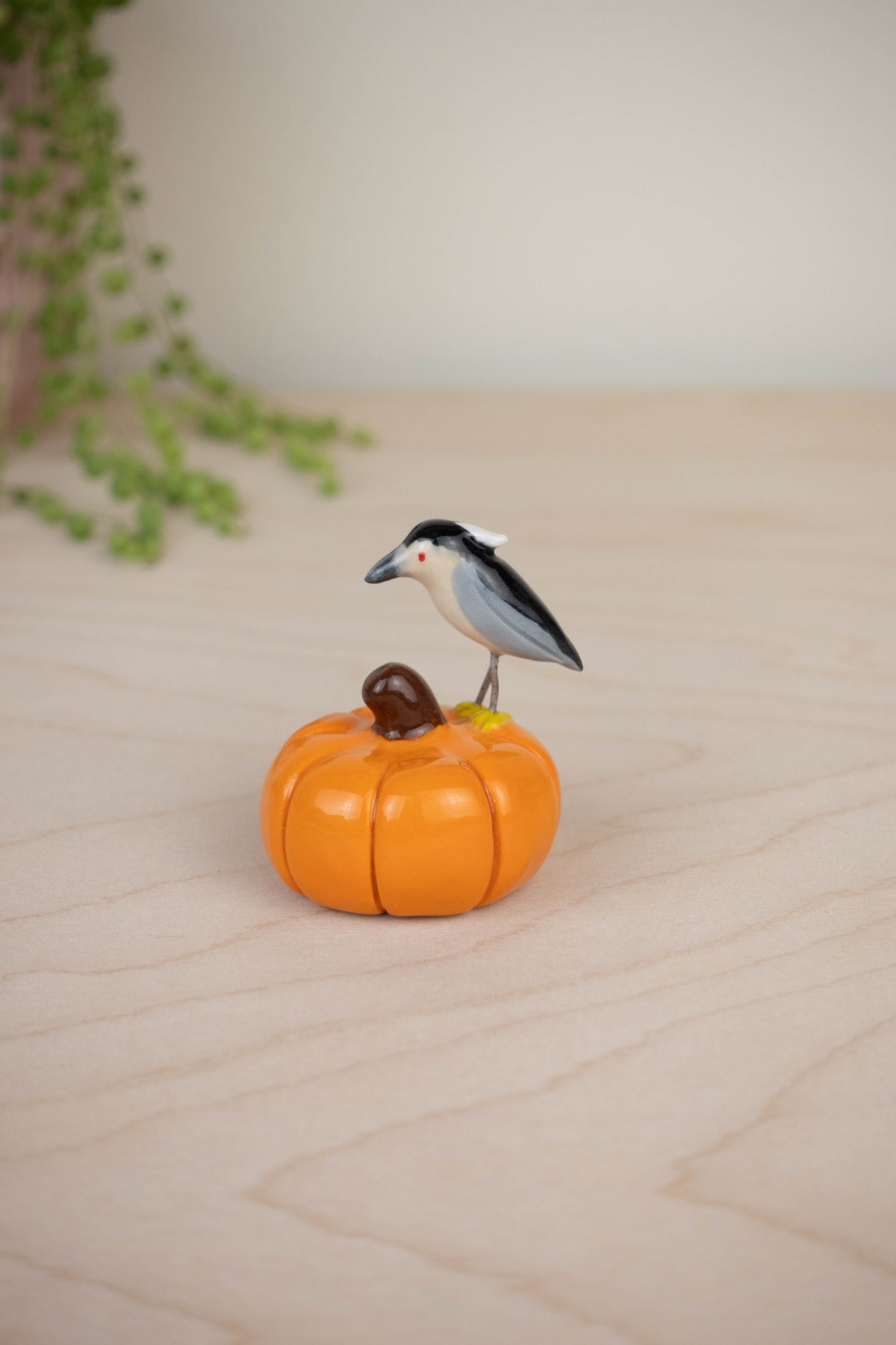 Bird Model: Black-Crowned Night Heron on a Pumpkin