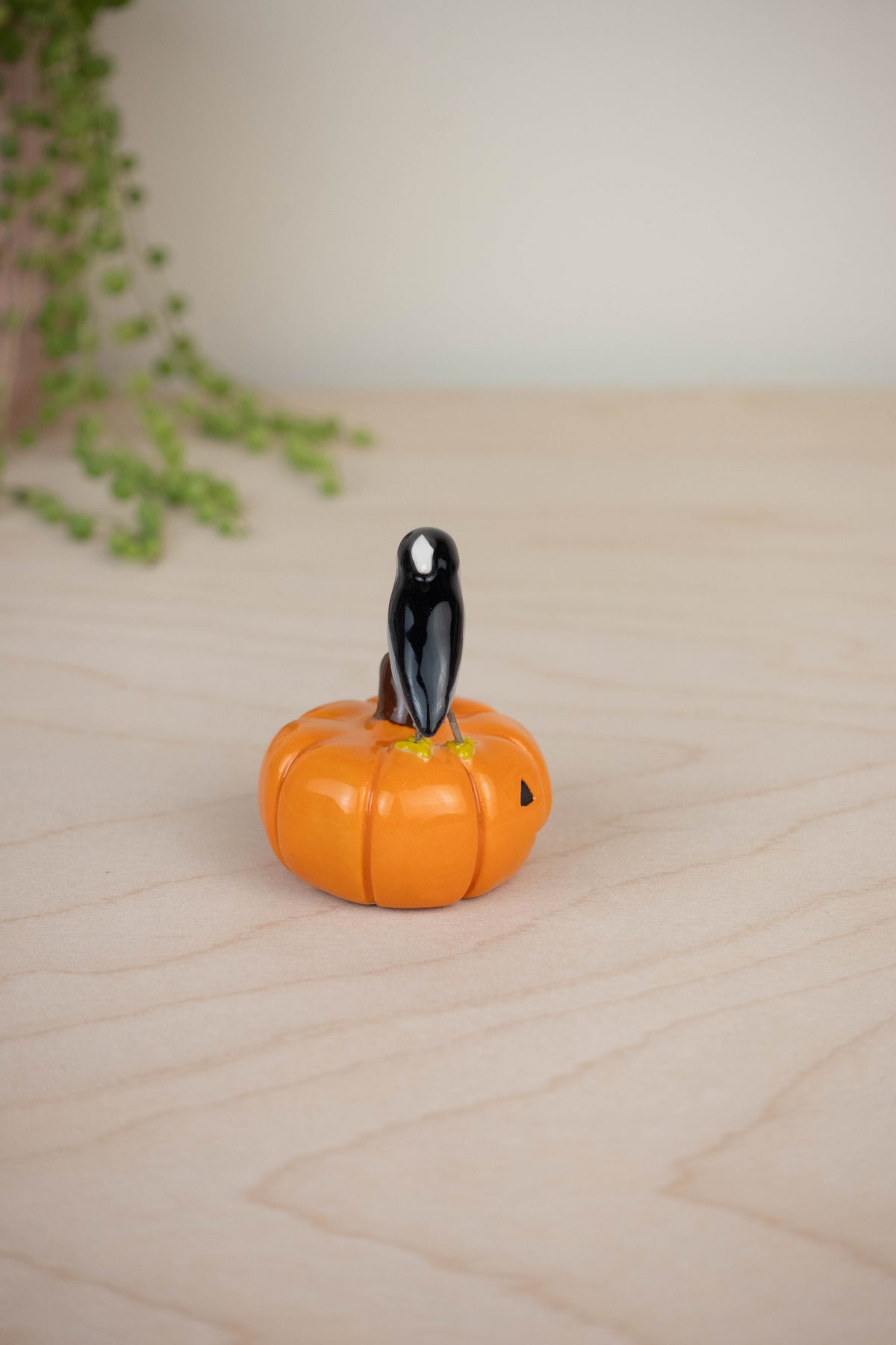 Bird Model: Black-Crowned Night Heron on a Pumpkin