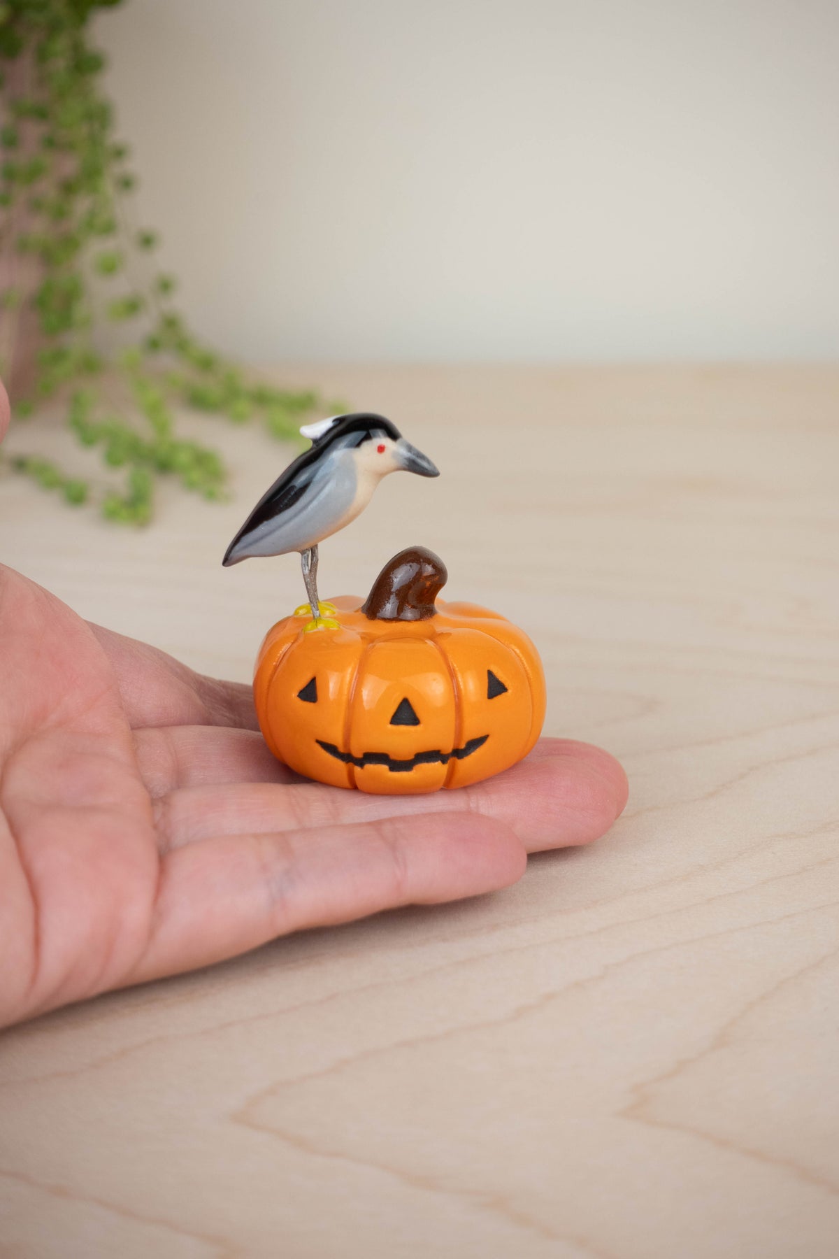 Bird Model: Black-Crowned Night Heron on a Pumpkin