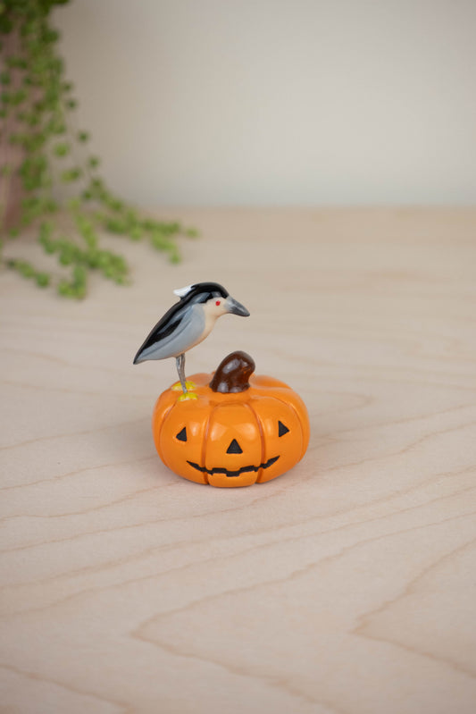 Bird Model: Black-Crowned Night Heron on a Pumpkin