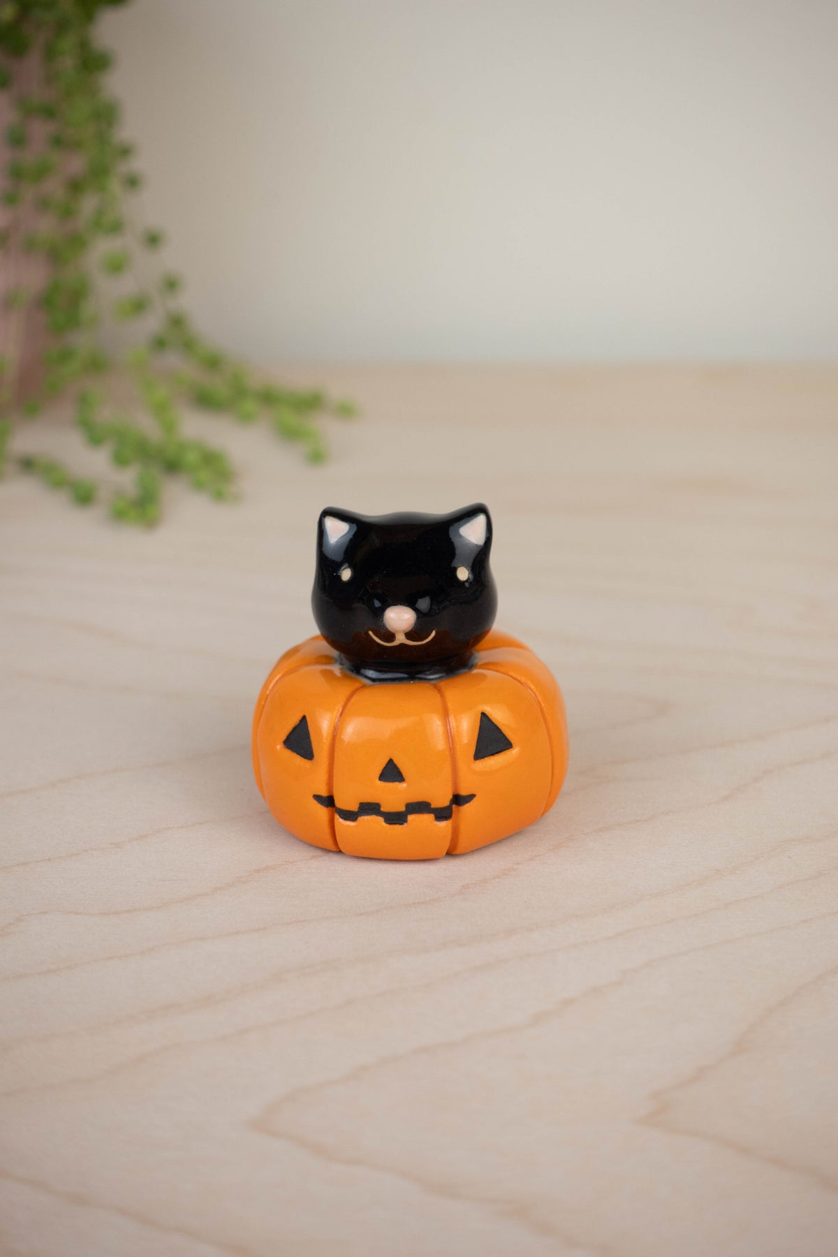 Mini Black Cat in a Pumpkin