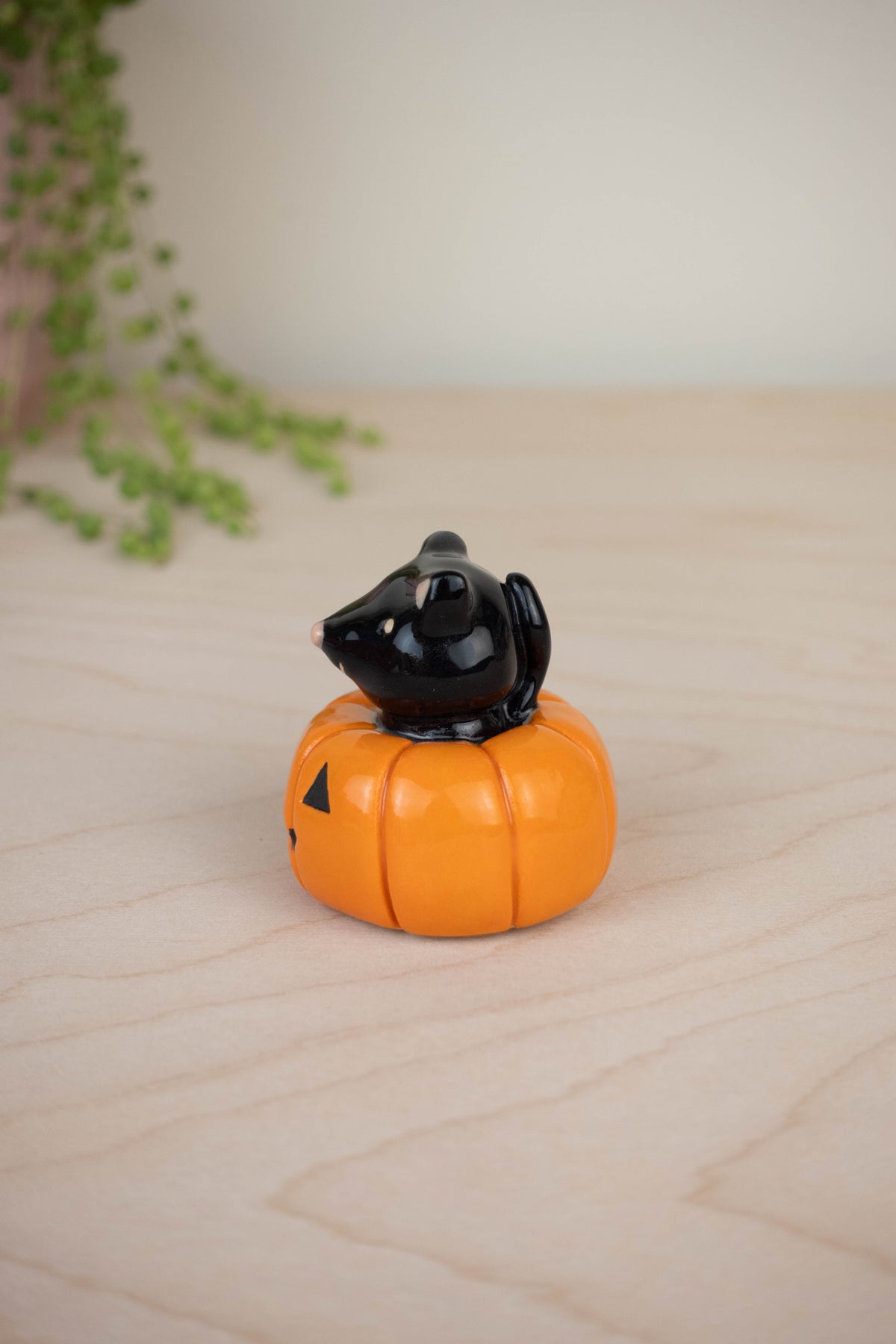 Mini Black Cat in a Pumpkin