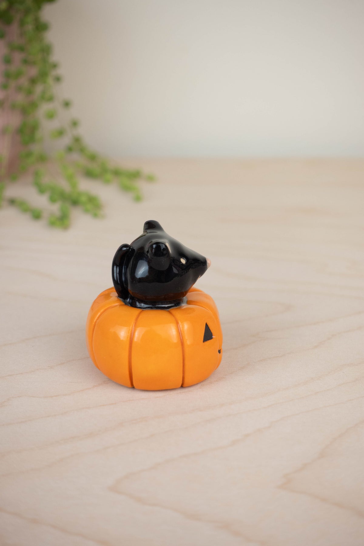 Mini Black Cat in a Pumpkin