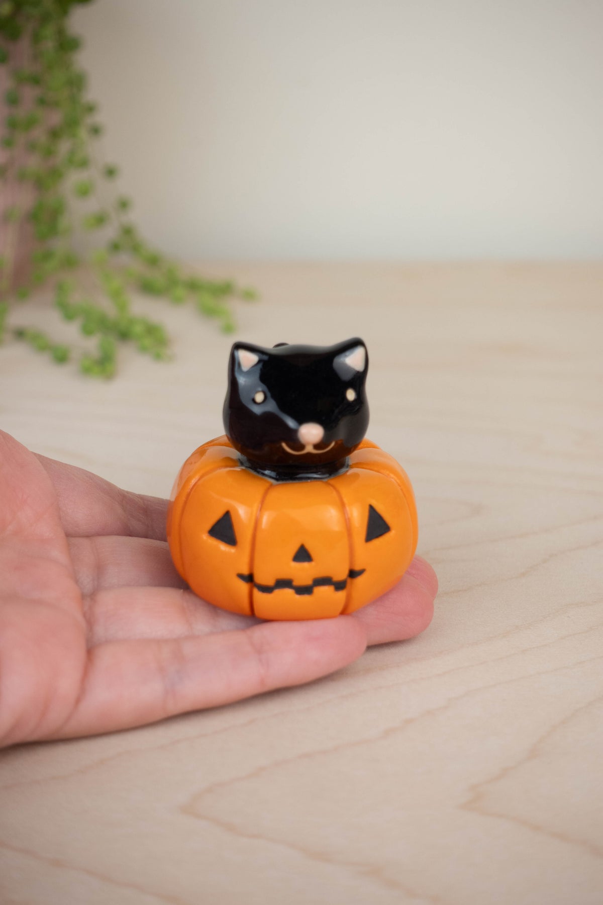 Mini Black Cat in a Pumpkin