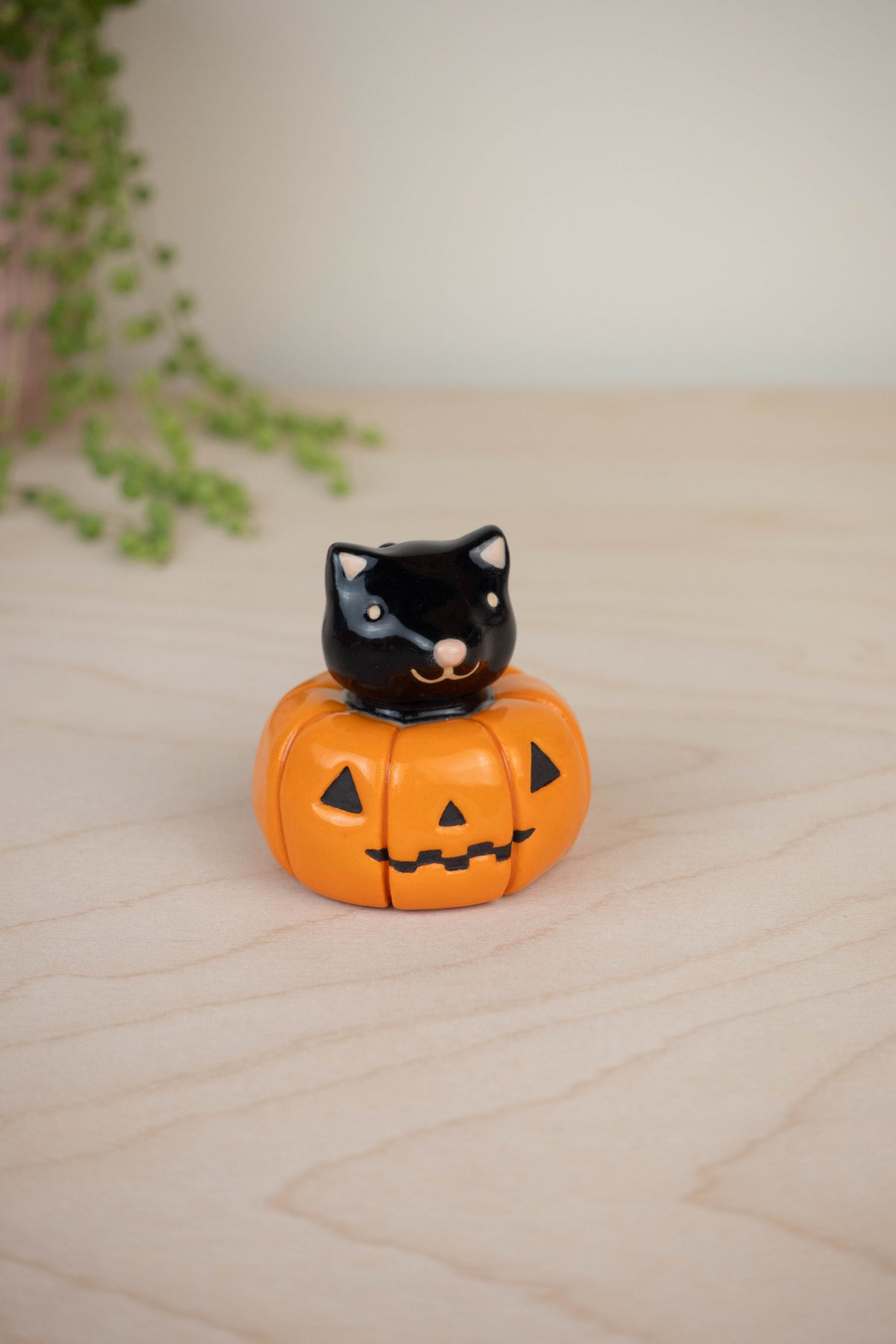 Mini Black Cat in a Pumpkin