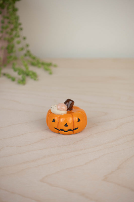 Mini Snail on a Pumpkin