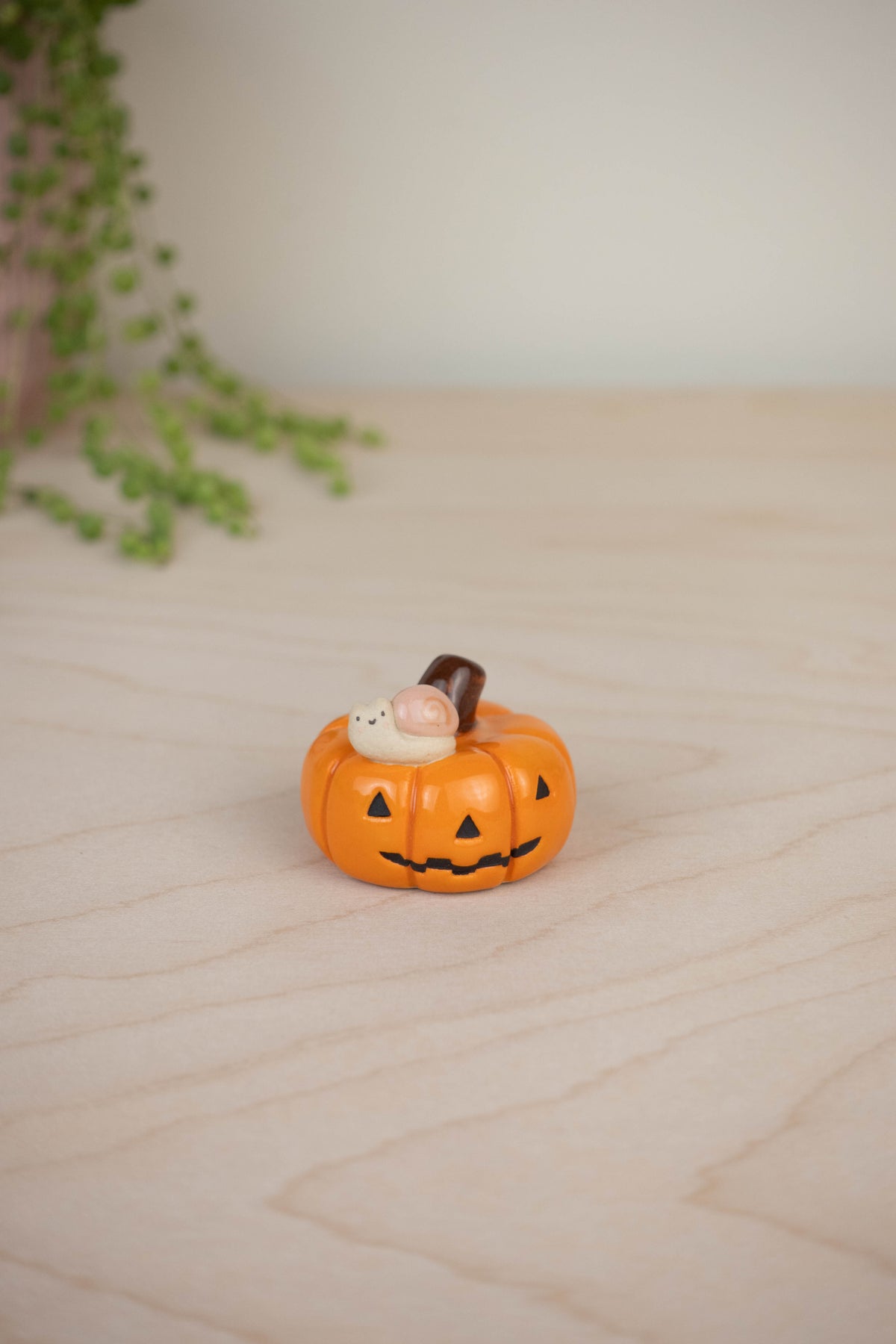 Mini Snail on a Pumpkin