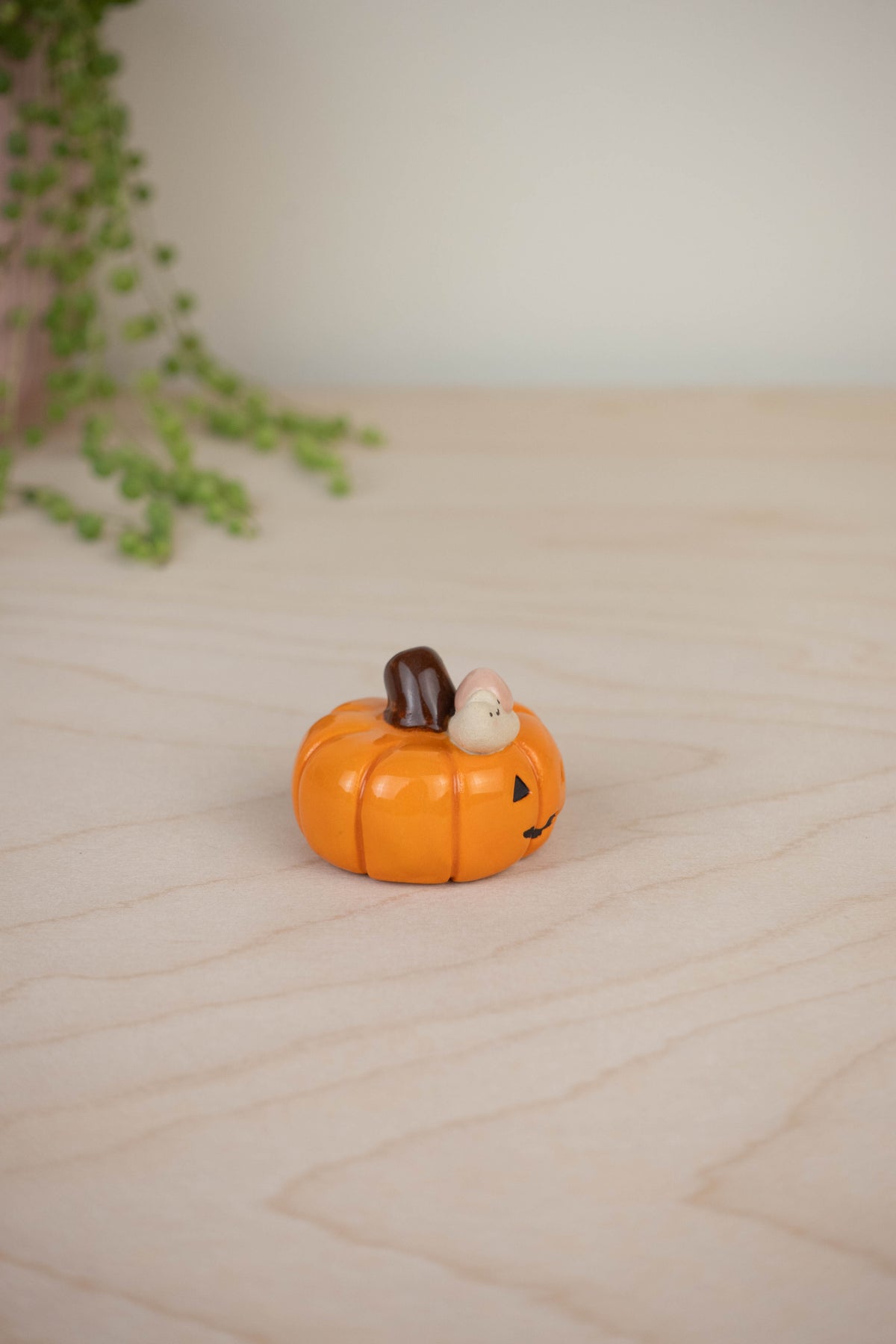 Mini Snail on a Pumpkin