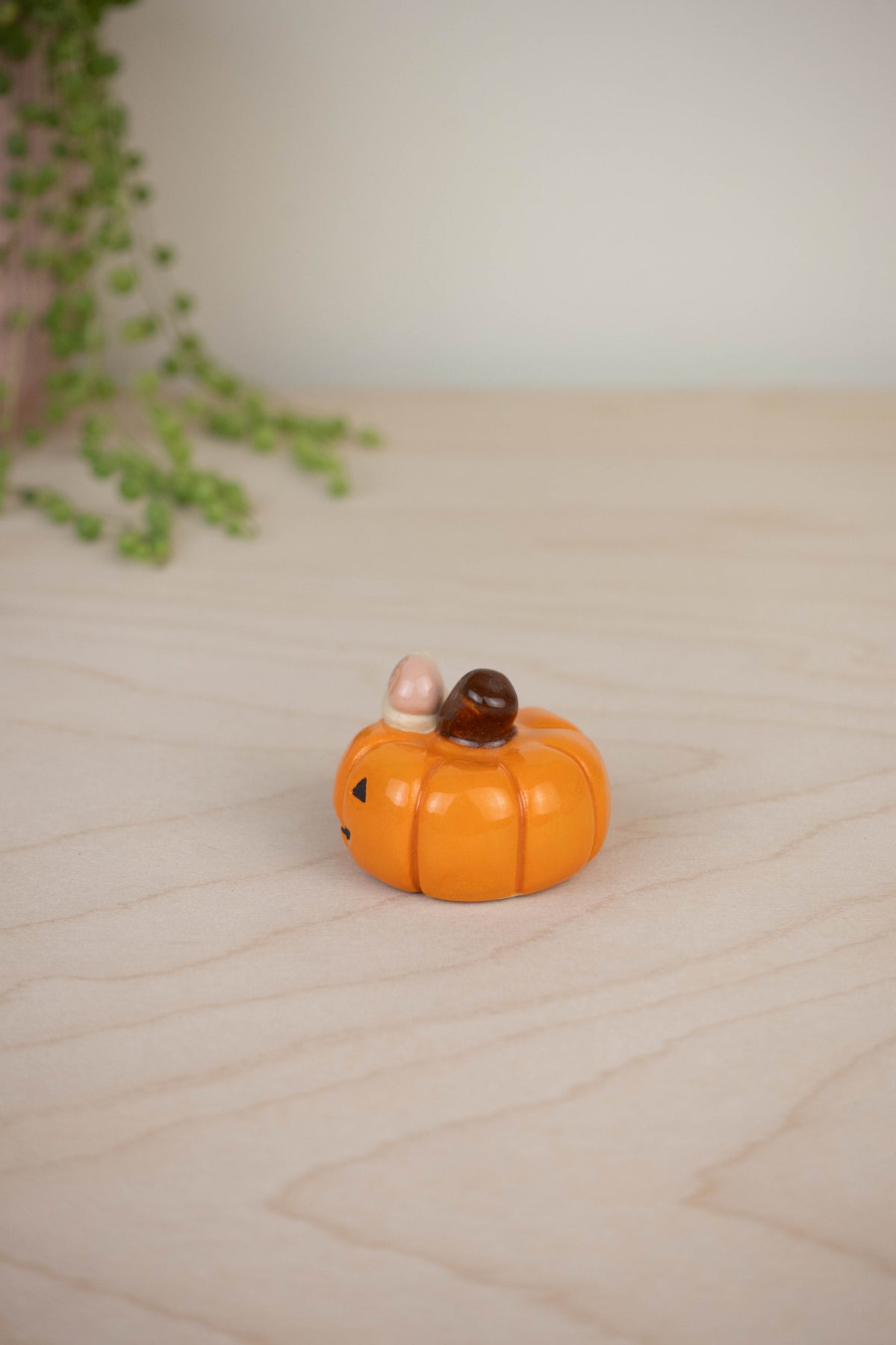 Mini Snail on a Pumpkin