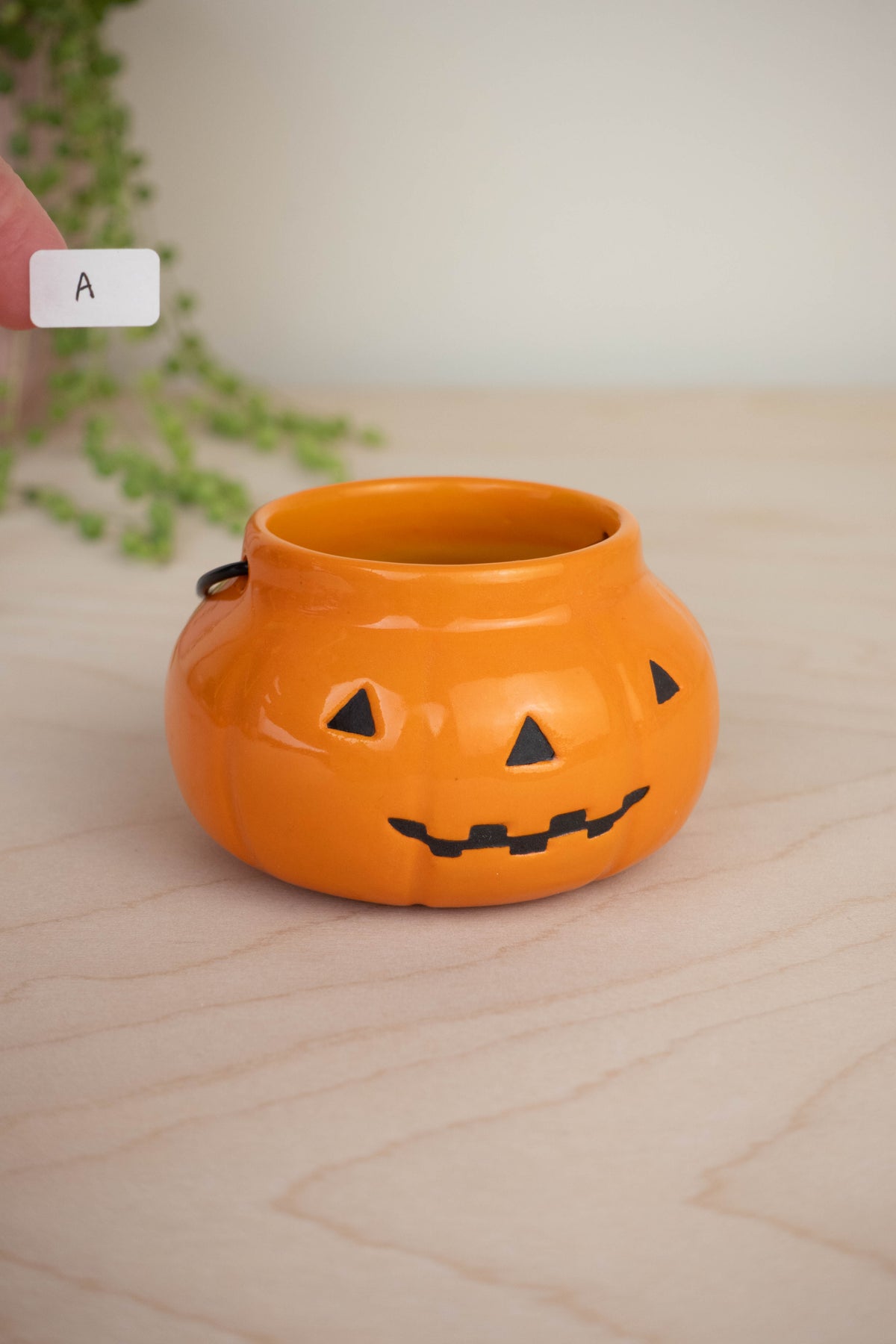 Pumpkin Basket