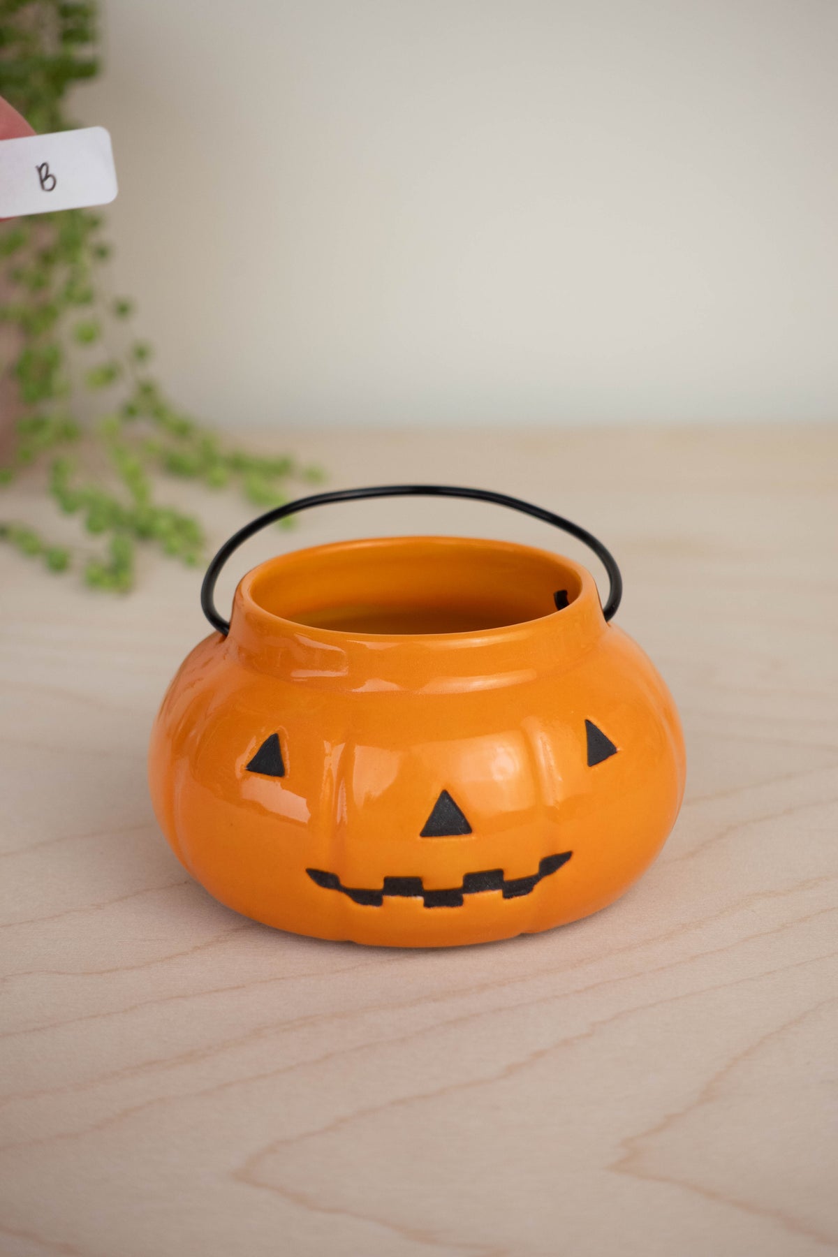 Pumpkin Basket