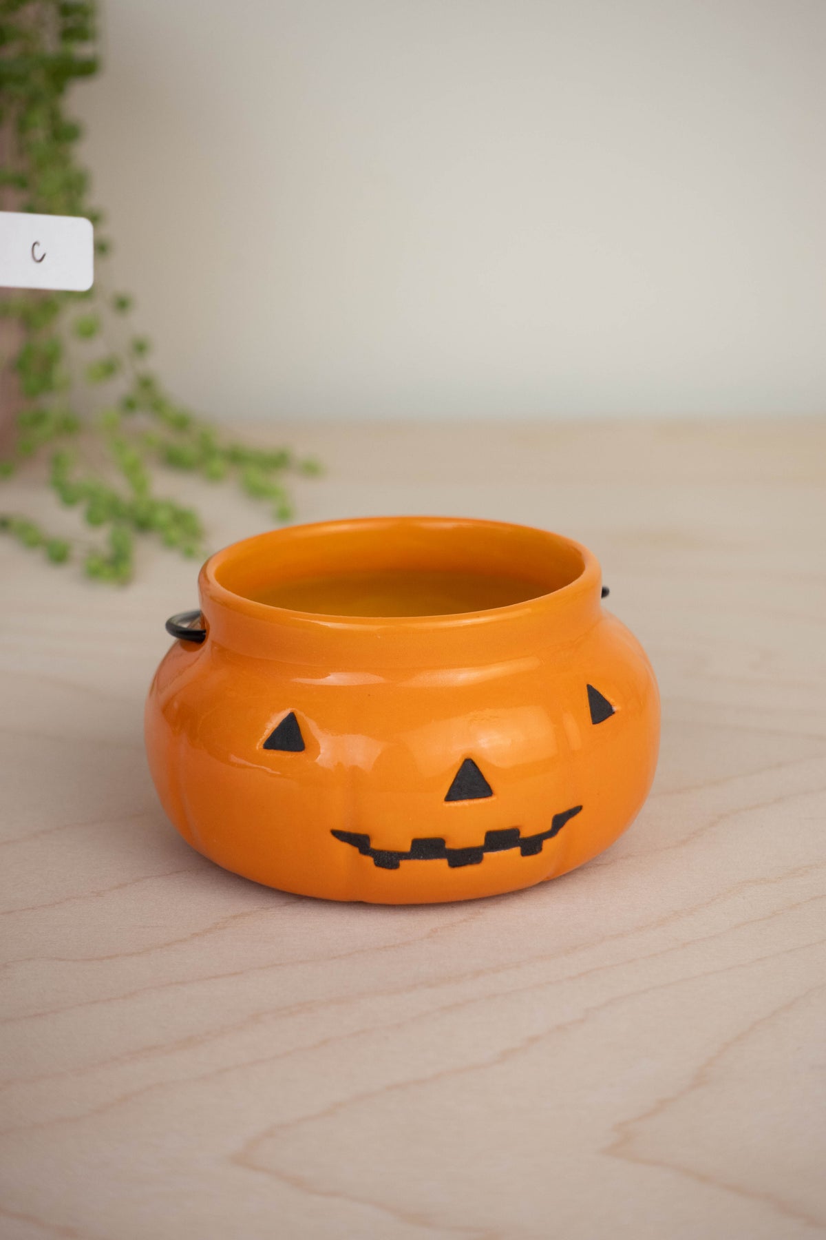 Pumpkin Basket