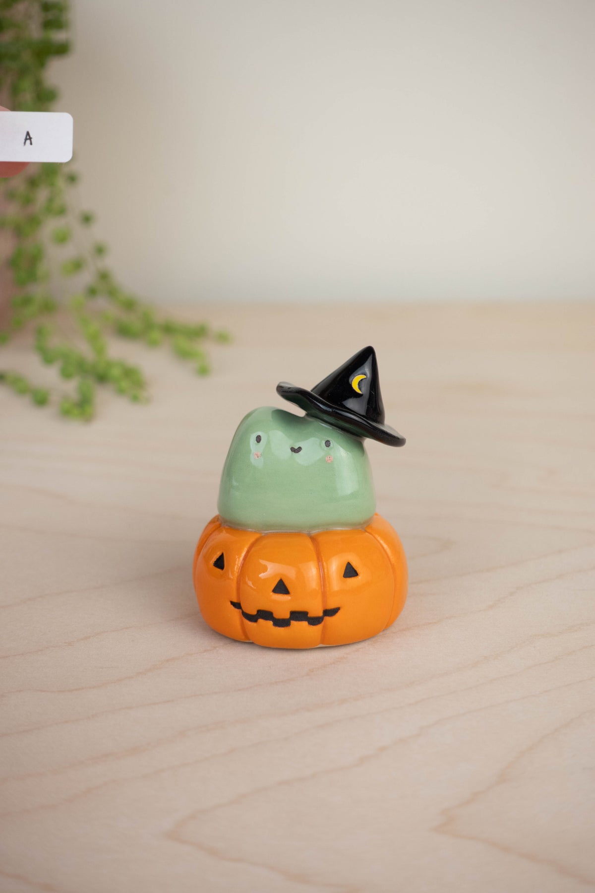Witch Frog on Pumpkin