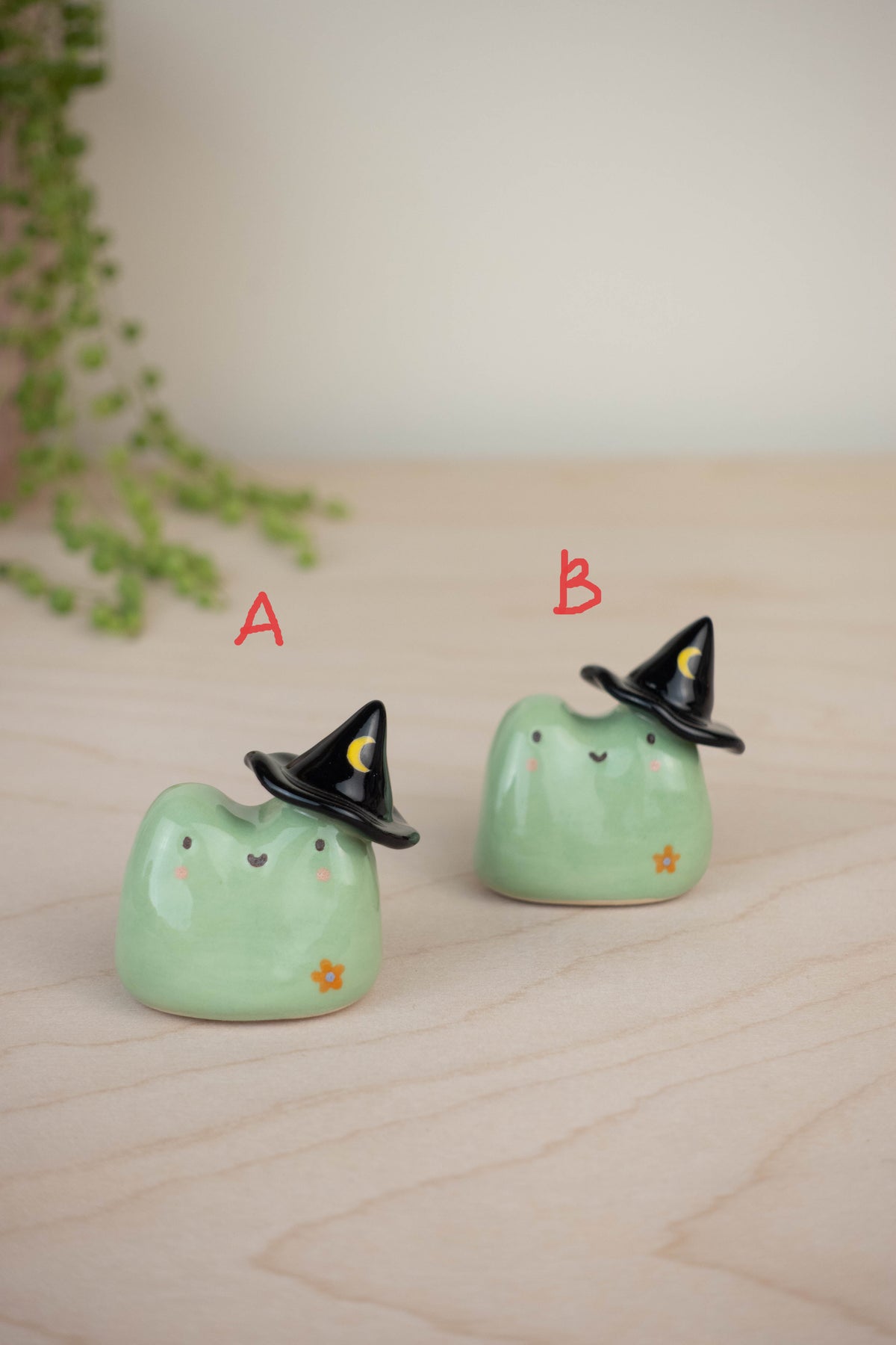 Witch Frog
