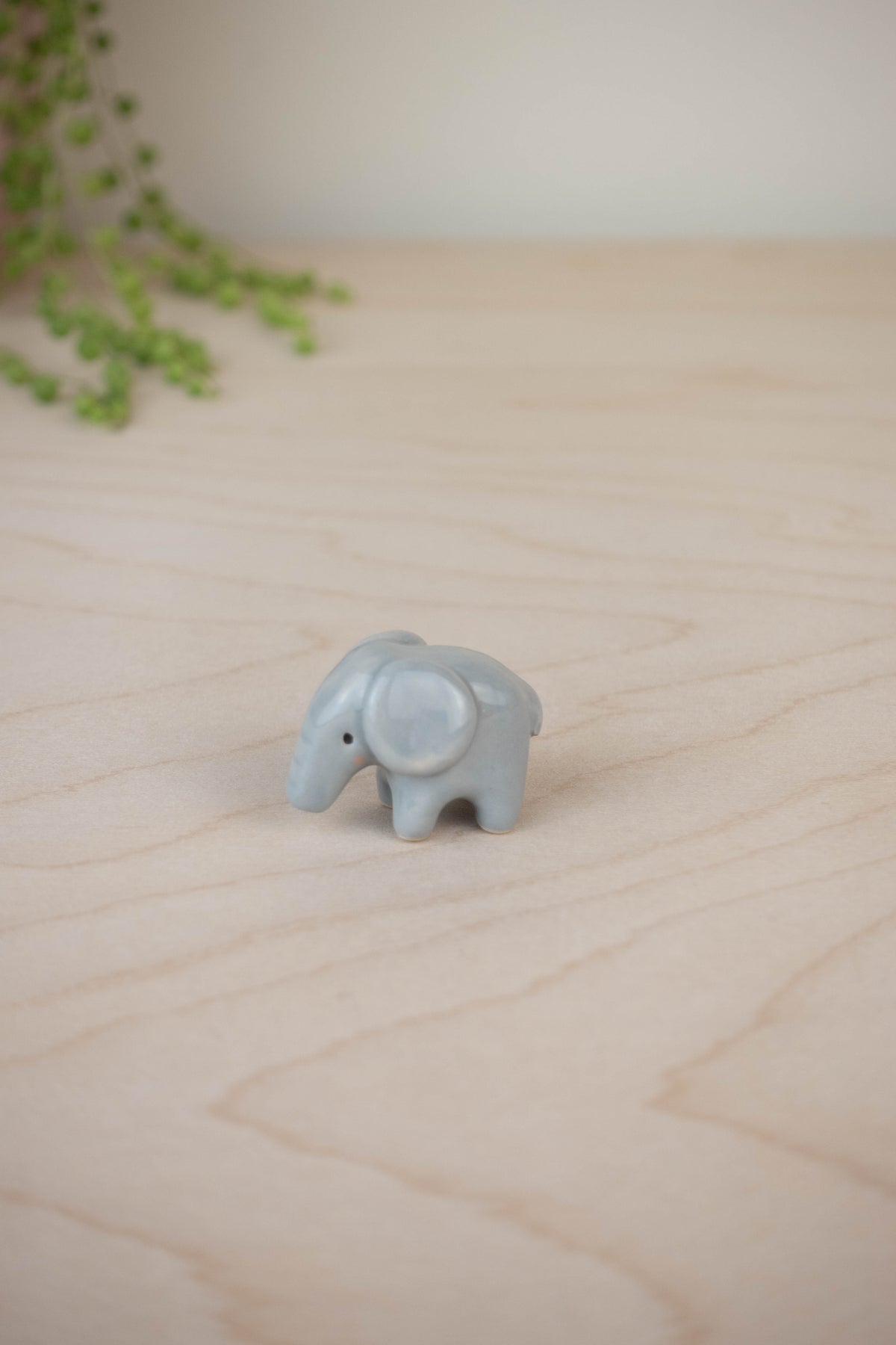Tiny Elephant