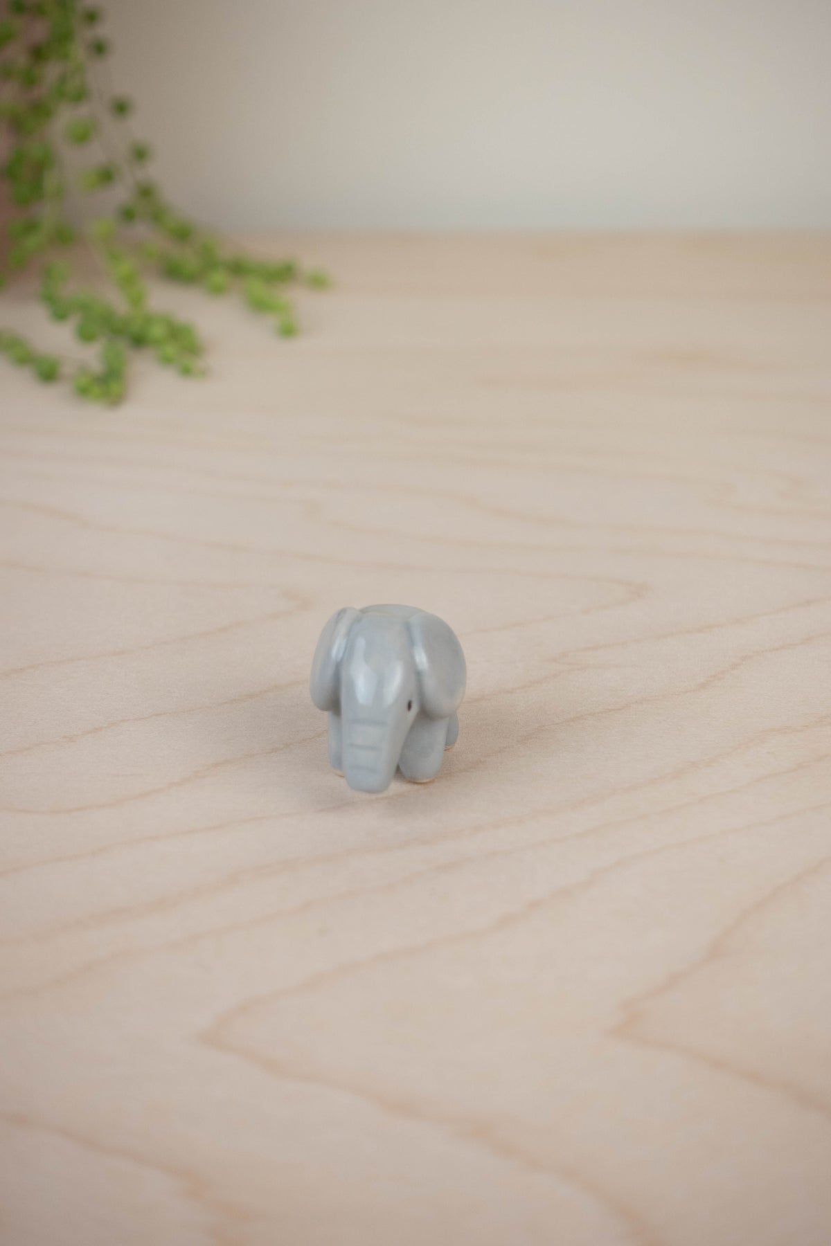 Tiny Elephant