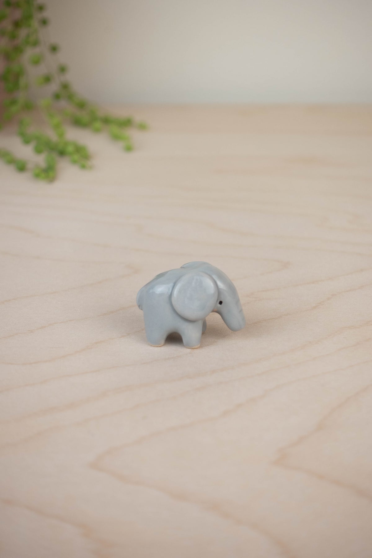 Tiny Elephant